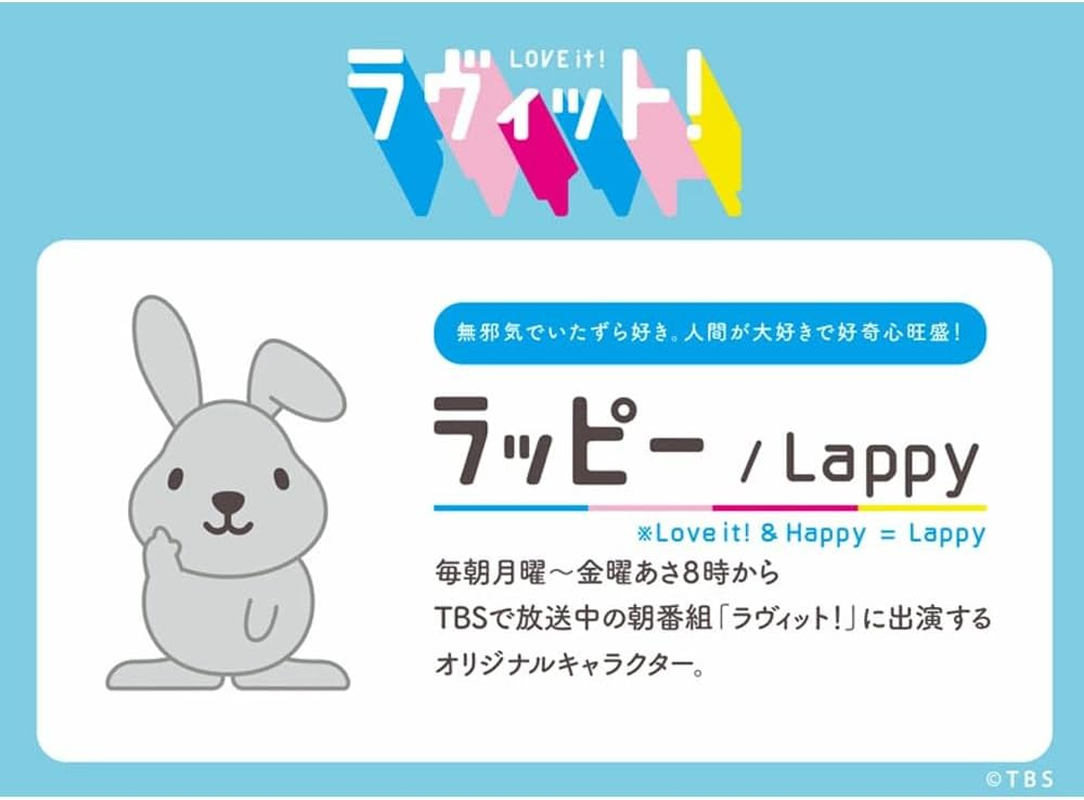 Granthunk Gadget Pouch, Small, Hard Pouch, Storage, Small Items, Rappy, Gadget Pouch, SS Cable, Compact, for Travels, Business Trip - Face image number 2