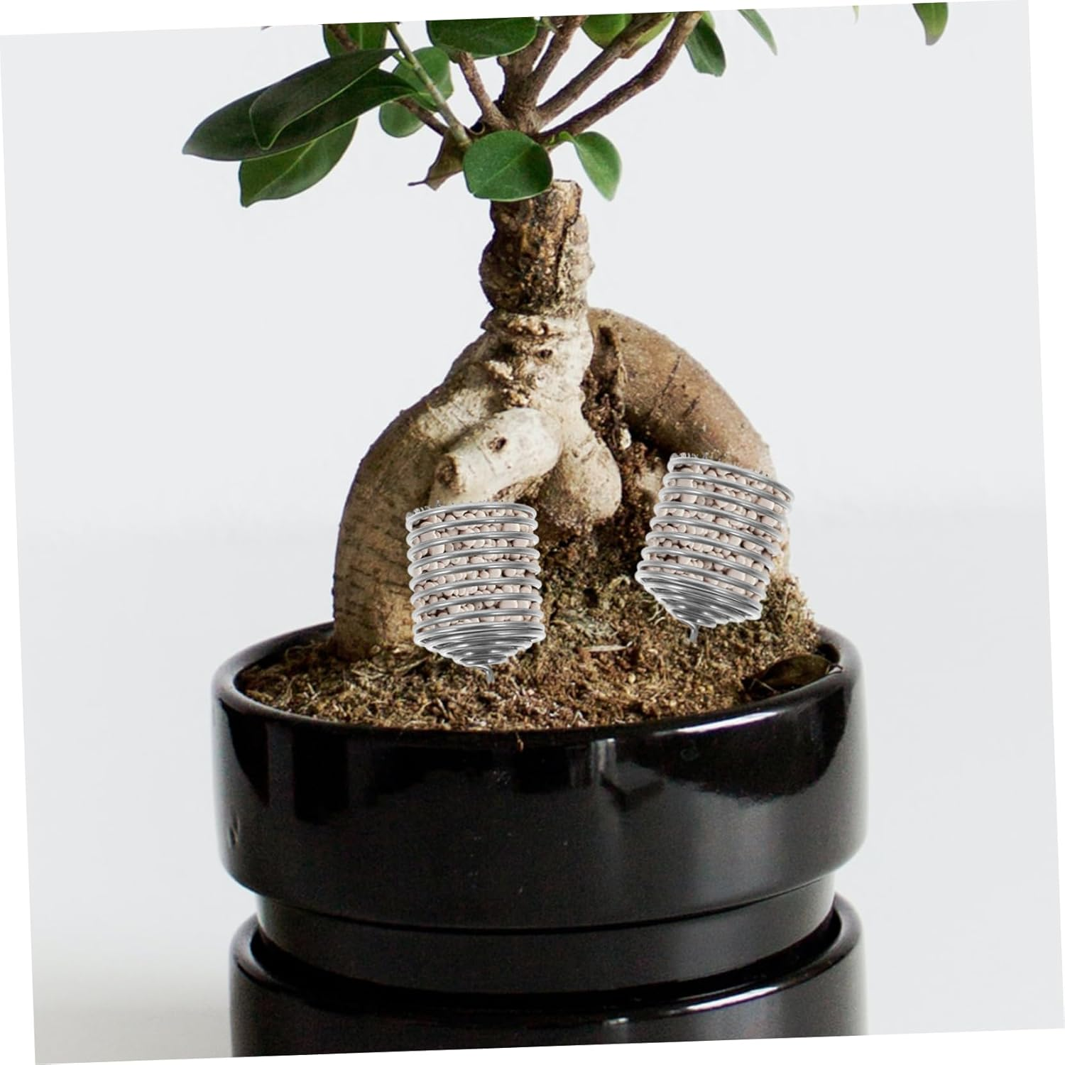 VANZACK 6Pcs Stainless Steel Bonsai Fertilizer Box Fertilizer Mesh Baskets for Indoor Plants image number 2