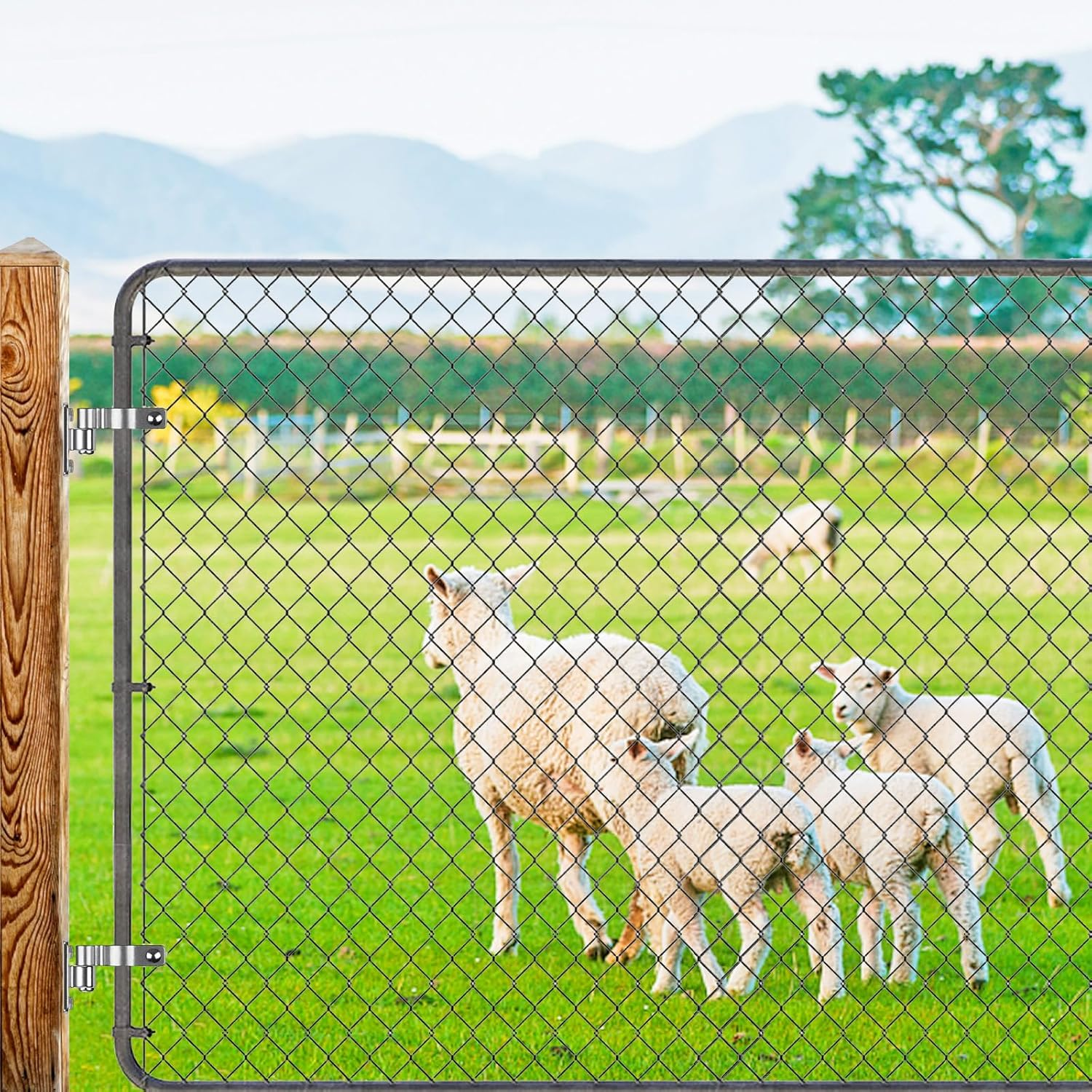 2Pcs Cast Gate Hinges, 304 Stainless Steel Wall Mount Gate Hinge for Farm Gate, Chain Link Fence Gate Hinge One-Piece with Non-Weld Gate Hinge Heavy Duty, Fit 5/8'' Fence Post Hinge image number 2