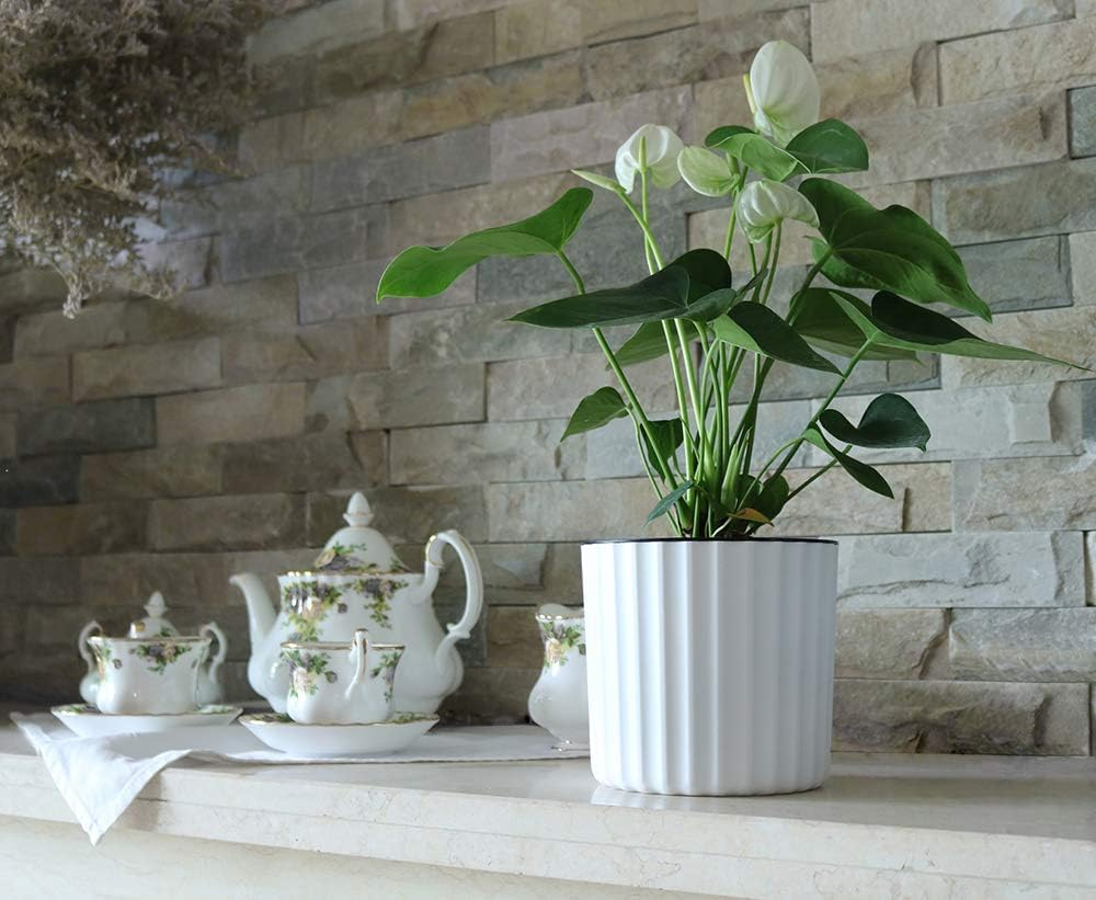 MUZHI Orchid Pot with Net and Holes, round Self Watering Planter Pot for Indoor Plants and Flowers 3 Sets White