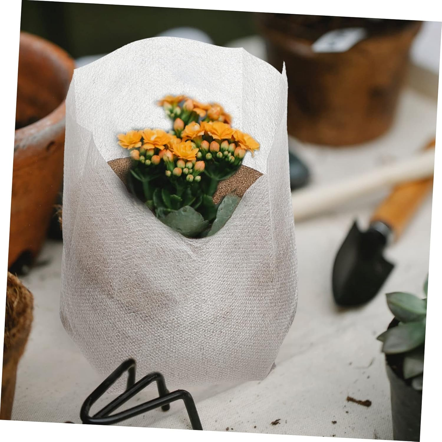 Kisangel 500Pcs Non-Woven Plant Nursery Bags for Gardening Thick Seedling Pots for Vegetables Flowers and Trees Suitable for Indoor and Outdoor Planting image number 5