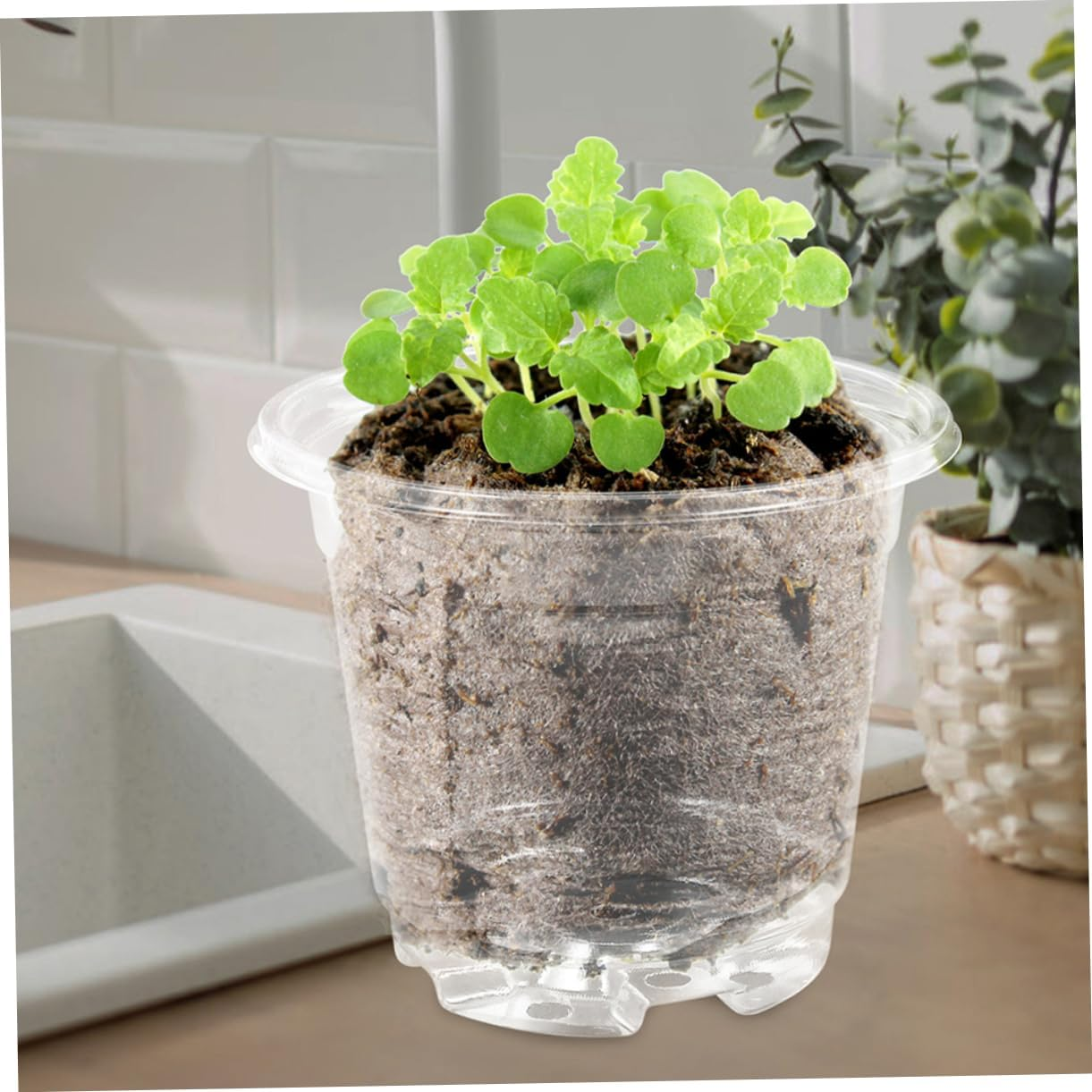 GAROZATION 10Sets Plant Pots Insulated Nursery Pots Drainage Seedling for Outdoor Flower for Garden Supply