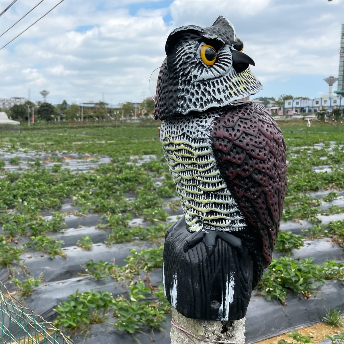 Skycabin Realistic Owl Humane Decoy Deterrent with Rotating Head Scare Bird from Gardens, Farms & Balconies,Natural Scarecrow Owl Statues as Yard Decoration Garden Protector image number 1