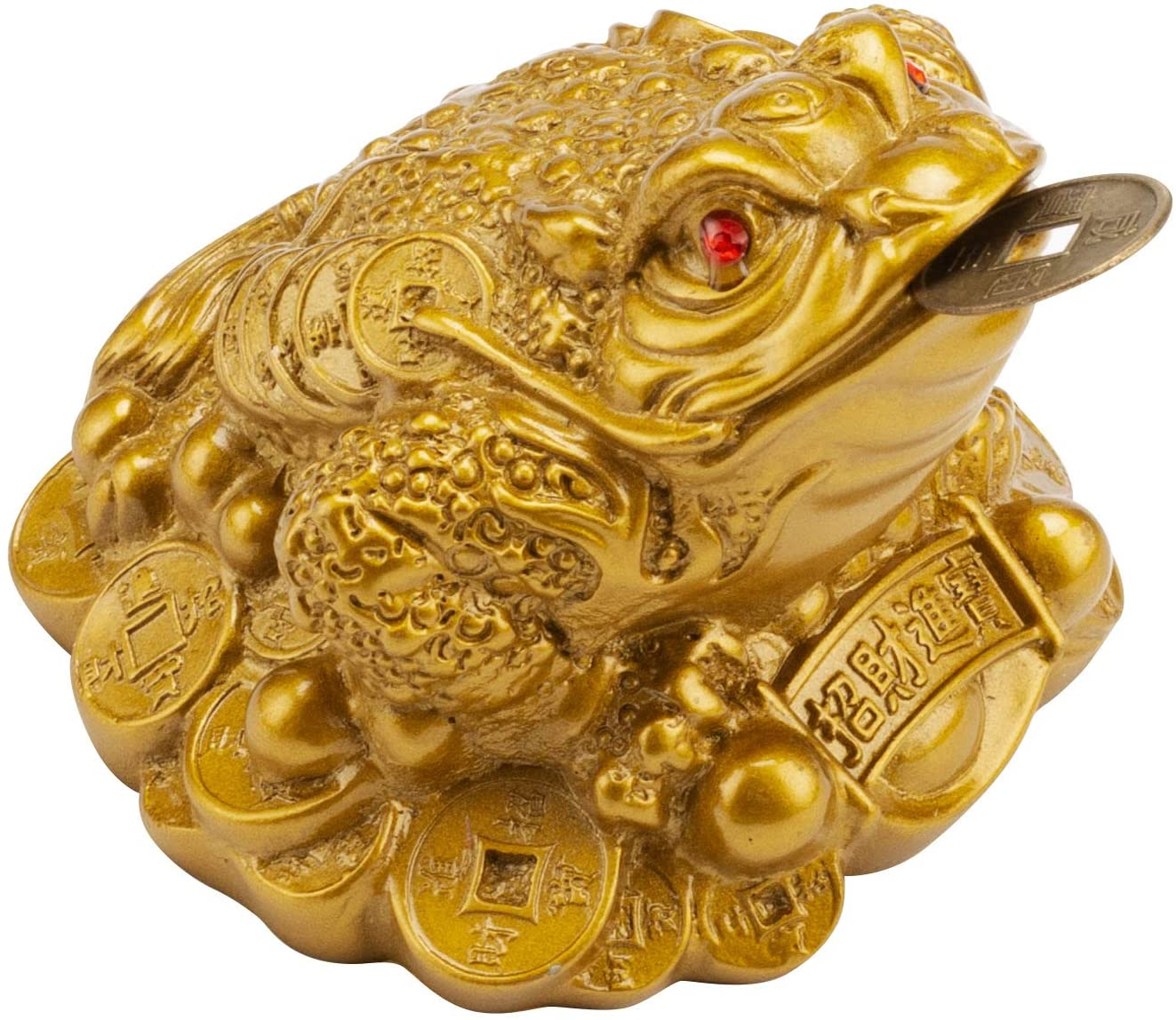 Wschic Feng Shui Money Frog, Lucky Chinese Toad with Coin,Ideal for Office and Home Decoration