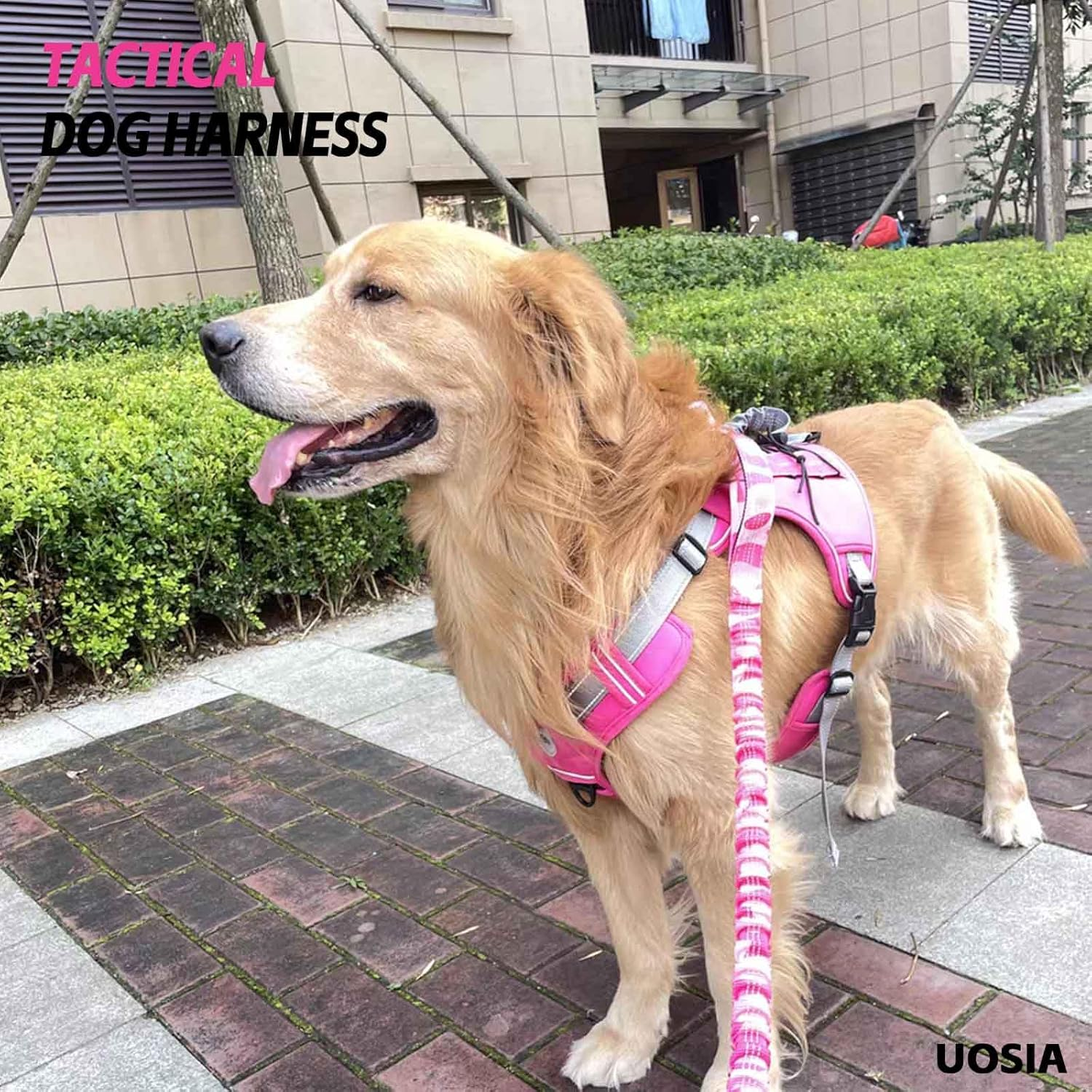UOSIA Dog Tactical Vest Harness Military Dog Harness with Hook & Loop Panels and Handle No-Pull Service Dog Vest Adjustable Dog Harness and Pet Hand Holding Rope