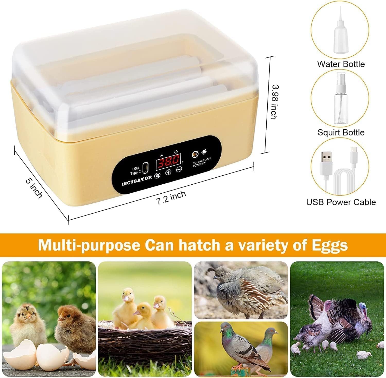6 Eggs Automatic Digital Hatching Eggs, Egg Incubator Poultry Hatching Machine with Humidity Control Hand Water Adding for Hatching Chicken Duck Quail Bird Eggs image number 4