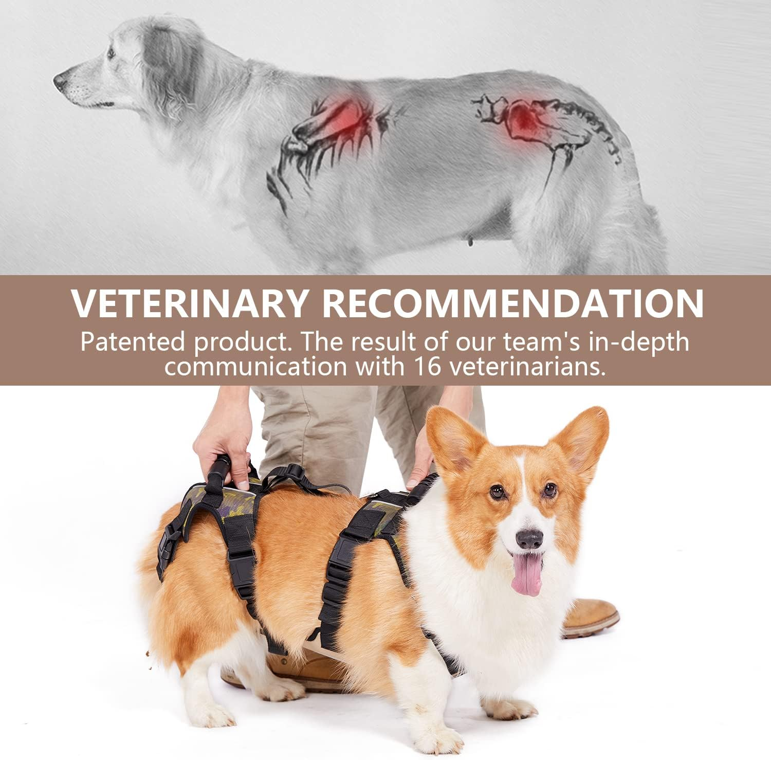 Coodeo Dog Lift Harness, Full Body Support & Recovery Sling, Pet Rear Leg Support Rehabilitation Lifts Vest, Dog Carrier for Senior Dogs with Joint Injuries, Arthritis, Paralysis up Stairs (Xxlarge) image number 1