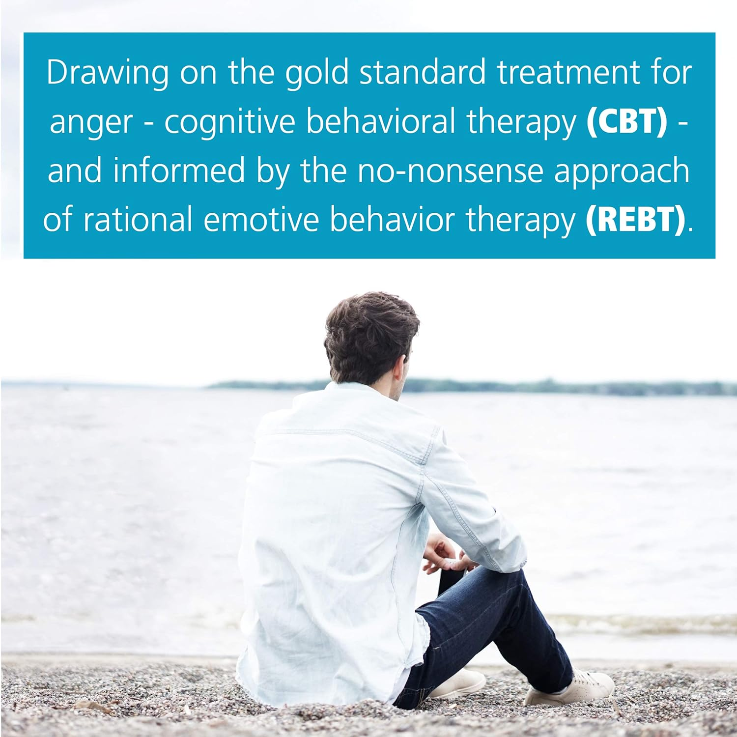 The Cognitive Behavioral Workbook for Anger: a Step-By-Step Program for Success