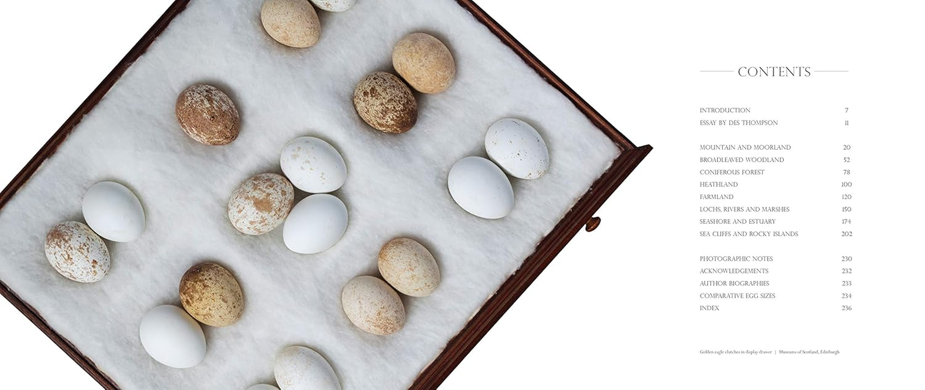 Fragile: Birds, Eggs and Habitats image number 4