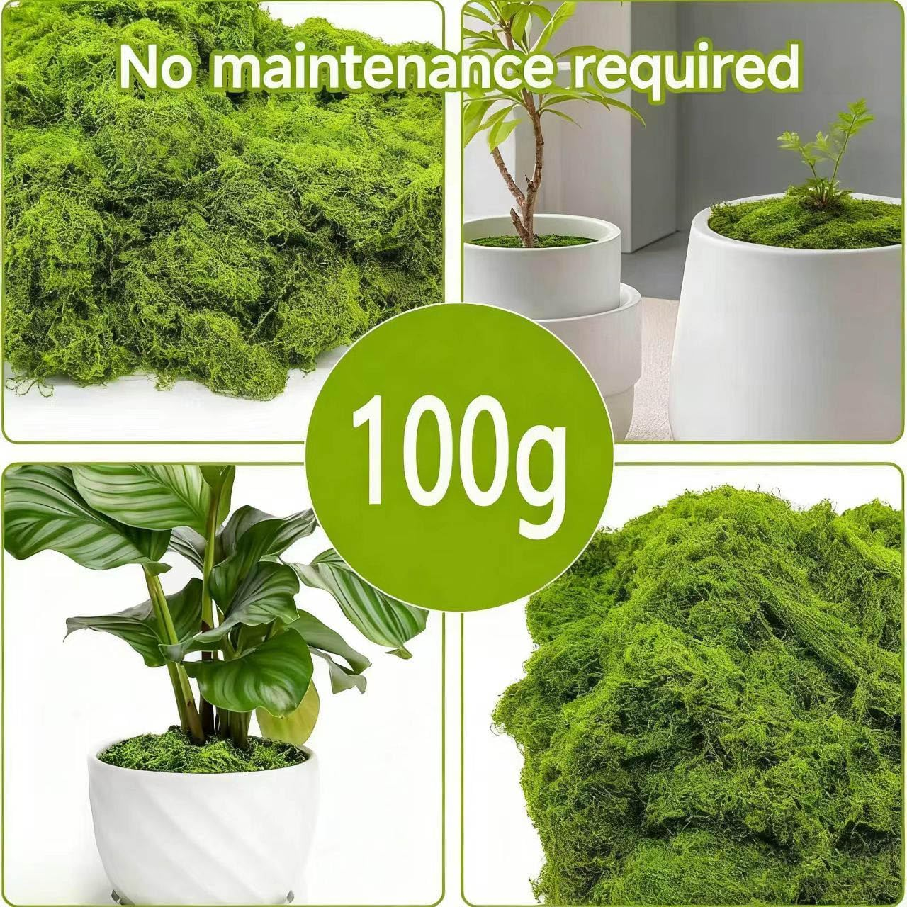 Fake Green Moss for Potted Plants Indoor, Artificial Faux Moss Decor for Crafts Fairy Garden, DIY Decorative, Model Making, Walls, Glass Containers, Home (100G) image number 6