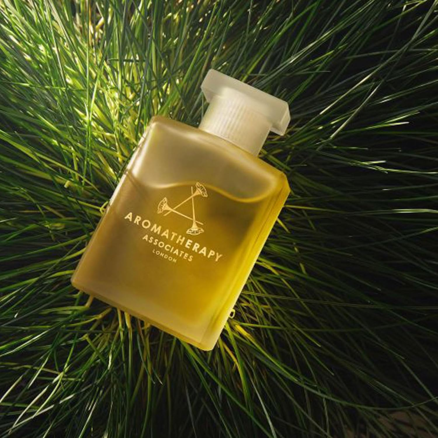 Aromatherapy Associates Forest Therapy Bath & Shower Oil, 55 Ml image number 3