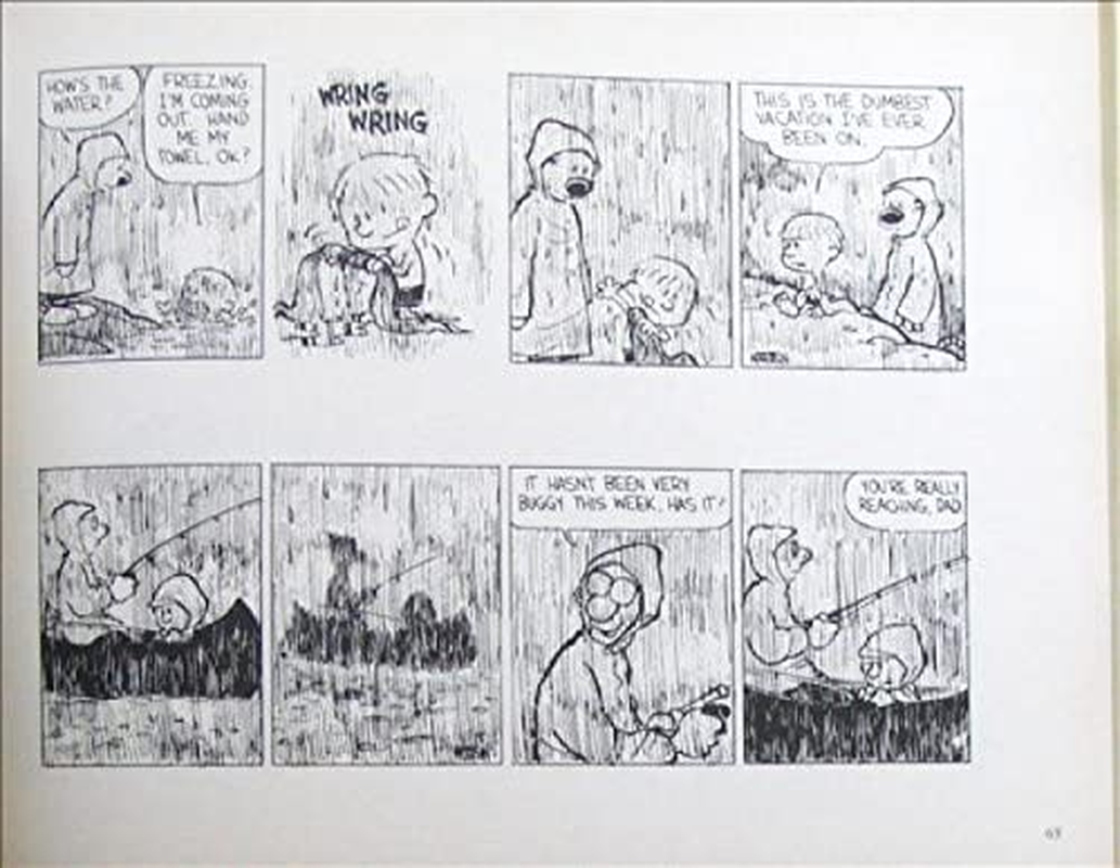 Calvin & Hobbes:Tenth Anniversary Book: Calvin & Hobbes Series: Book Fourteen image number 1