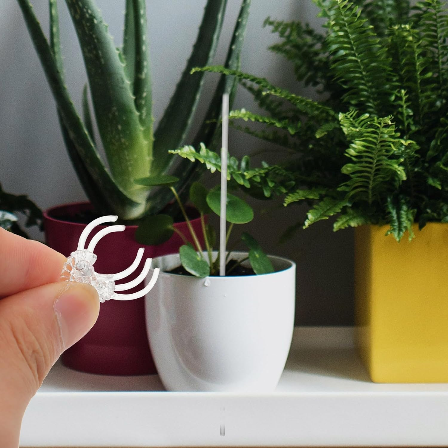 POPETPOP Orchid Stakes and Clips : 1 Set Plant Support Stakes for Indoor Plants Acrylic Plant Stakes Plant Sticks Plant Climbing Rod for Orchid Potted Plants Tomatoes image number 3