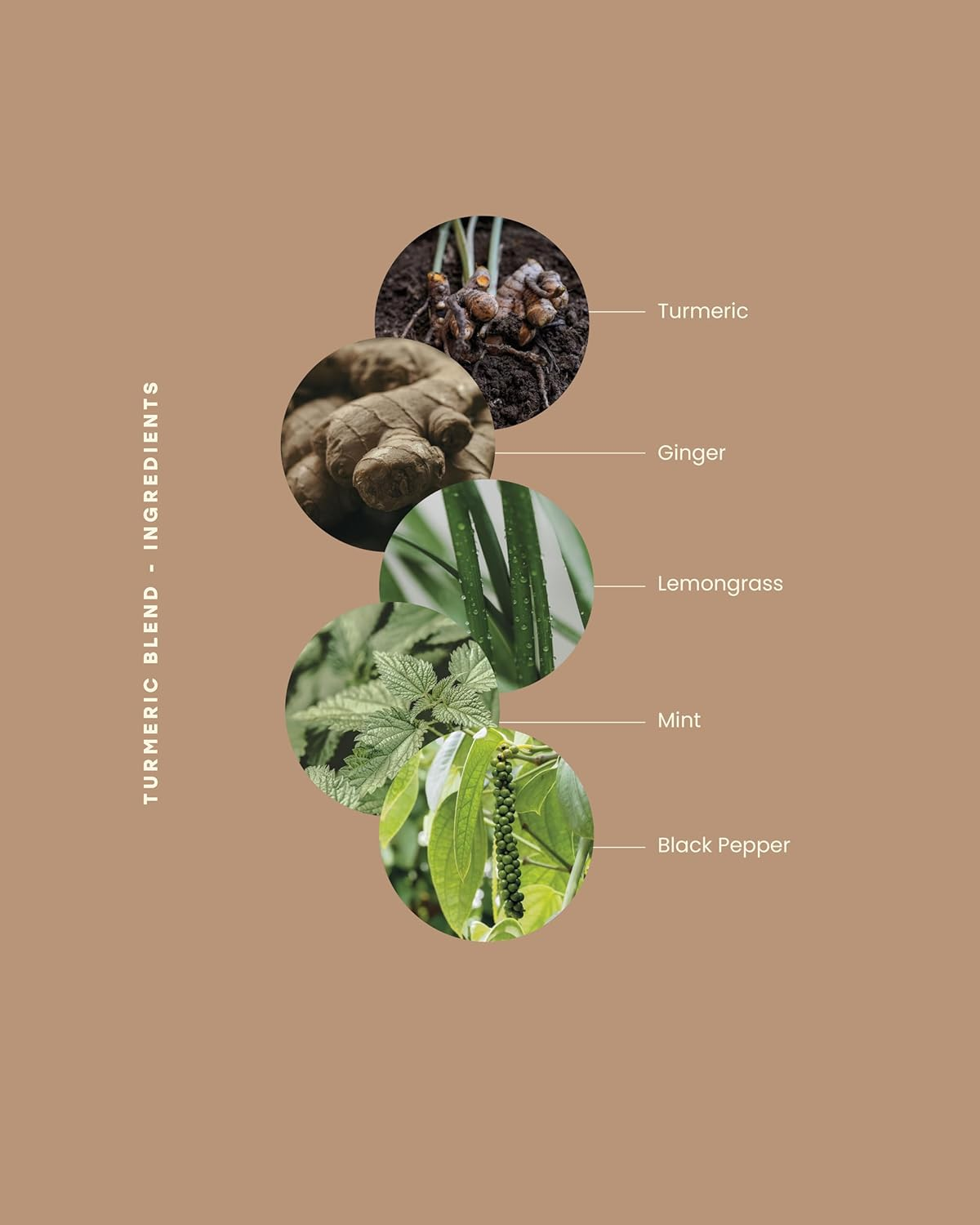 Kintra Foods Turmeric Blend Super Food Herbal Tea 25 Teabags, 50 G image number 2