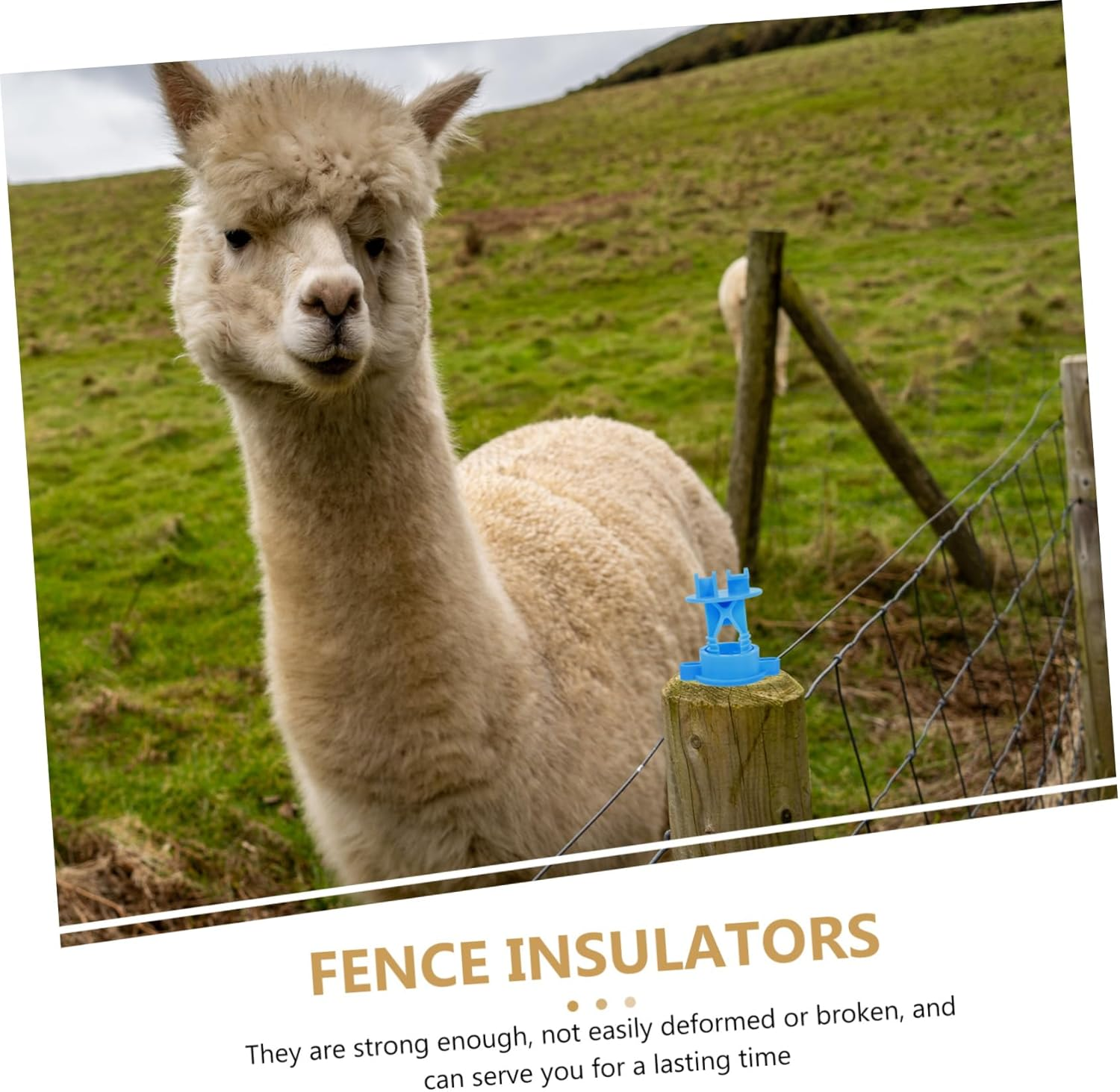 BESPORTBLE 250Pcs Replacement Fence Insulators Electric Fence Wire Insulators Material Insulating image number 3