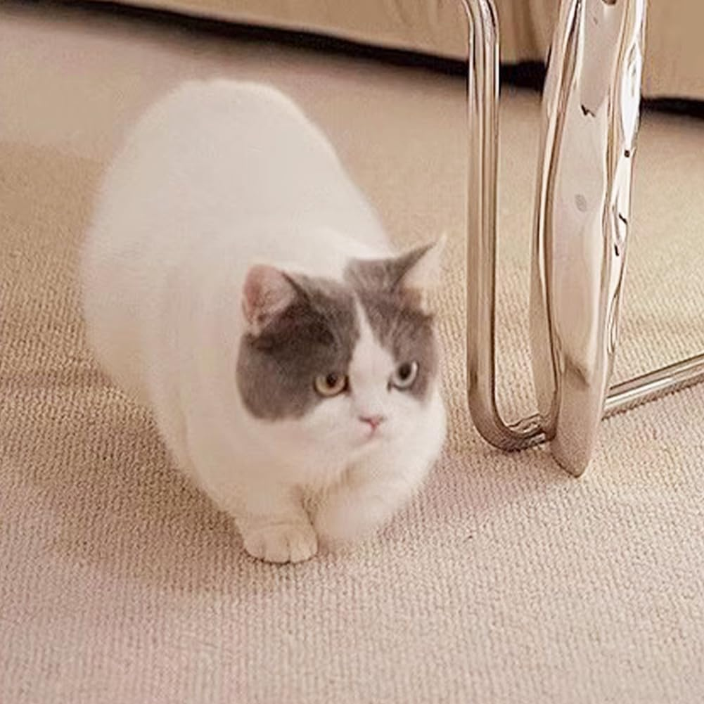 Front Door Mat Indoor Rugs for Entryway,Pet-Friendly Front Door Mat - Anti-Scratch, Algae Fiber, Courtyard Collection Rug Natural Colors for Home Decor Non Slip Washable Absorbent Low40X60Cm (Beige) image number 3