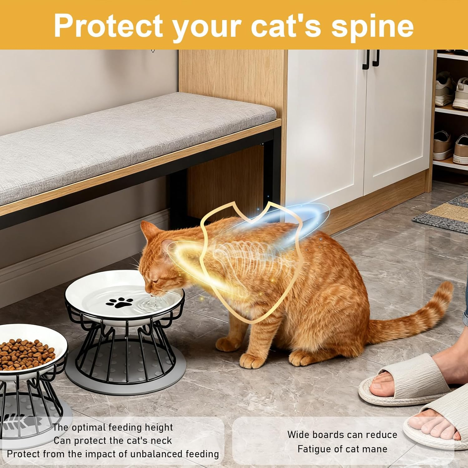 Set of 2 Raised Cat Bowls with Metal Stand, Cat Bowls, Feeding Bowl, Cat Set with Raised Stand, Metal Holder, Pet Feeding Bowl, anti Vomiting Cat Bowl for Cats and Puppies image number 1