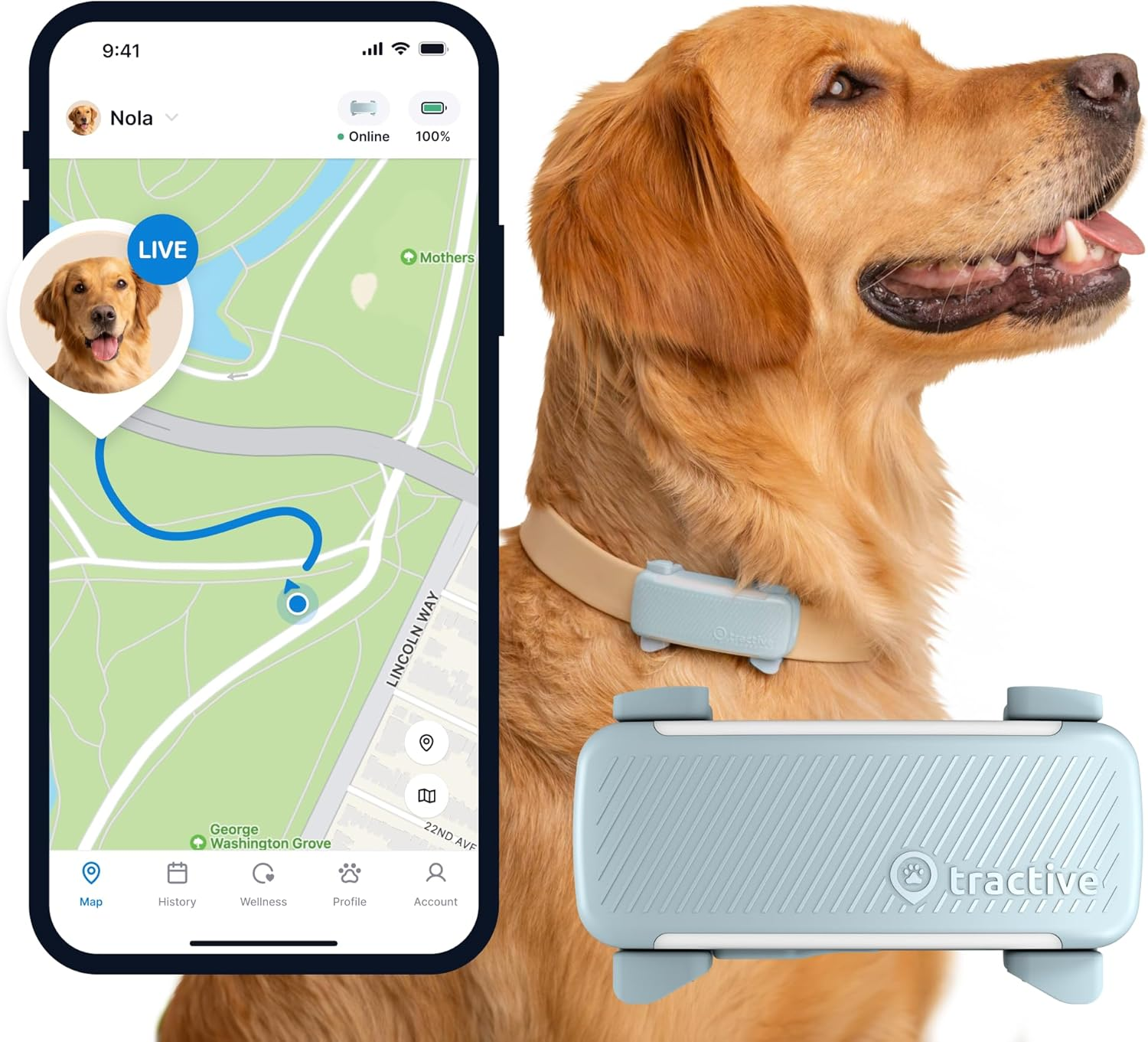 Tractive GPS Dog Tracker | Market Leader | Real-Time Location Tracking | Escape Alerts | Activity Monitoring | Health Alerts | Bark Monitoring (Mint)