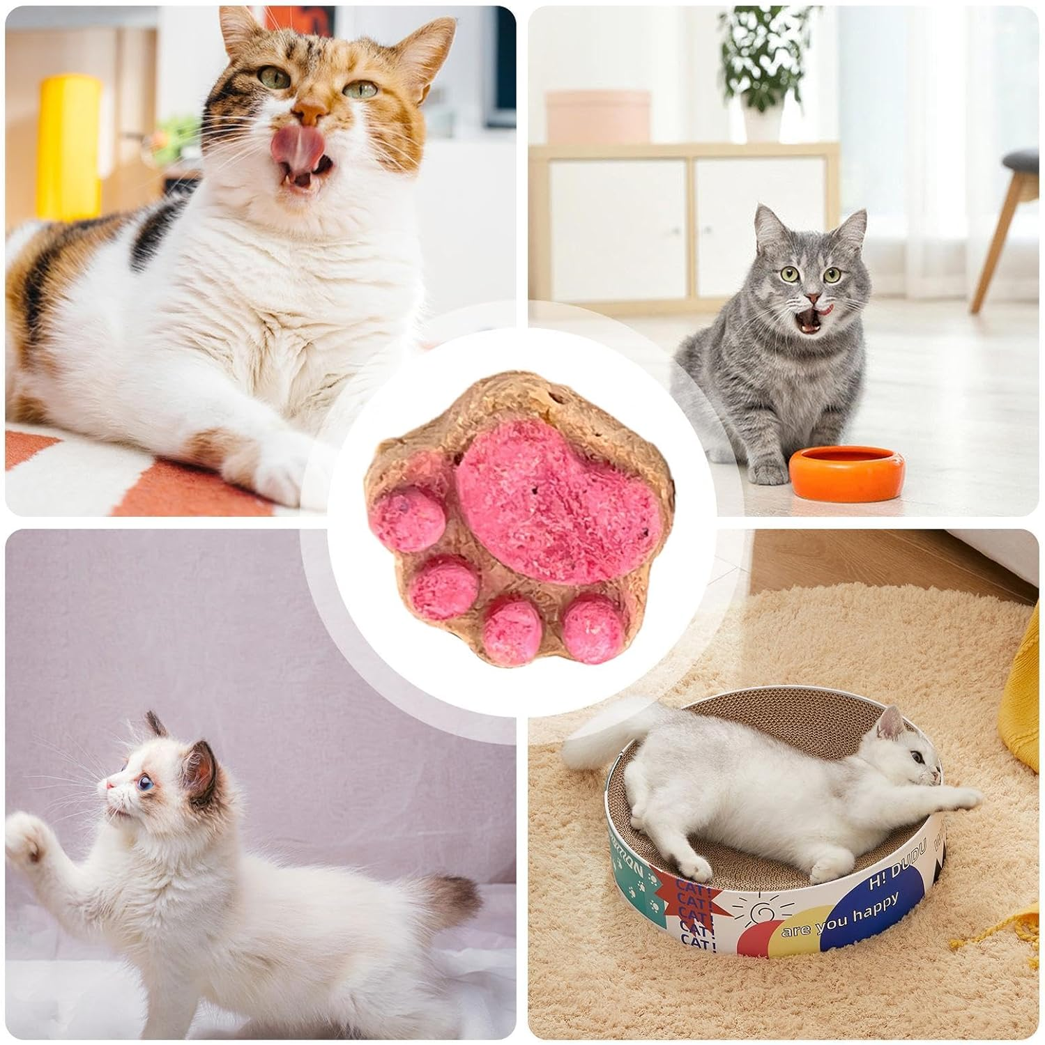 Cat Paw Snacks - Natural Healthy Cat Snacks Treats | Kittens Foods Treat | Snacks Paw Biscuits | Healthy Treats | Shape Food | Biscuits Dry for All Breeds