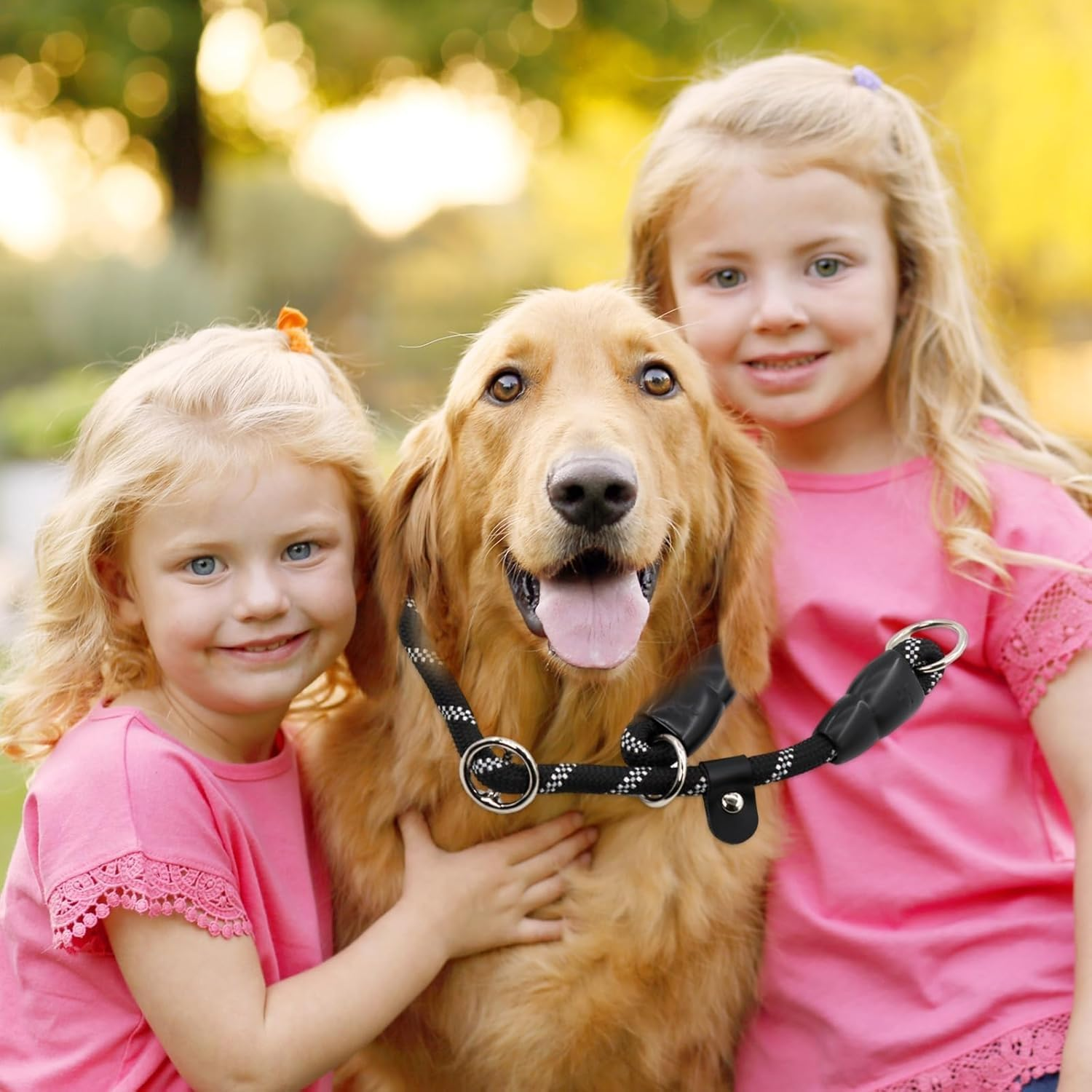 Lyfengdeam Dog Slip Collar Training Dog Collar with Reflective Strips,Puppy Braided Collar,Pets Nylon Rope Collar No Pull for Pet Outdoor Walking round Training Lead with Adjustable (Red, M) image number 2