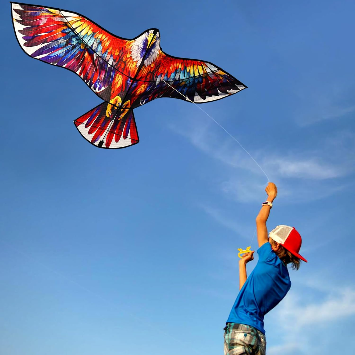 Touch the Sky Huge Eagle Bird Kite for Children & Adults, Easy to Assemble & Fly,Beach and Summer Outdoor Toy for Boys and Girls image number 1