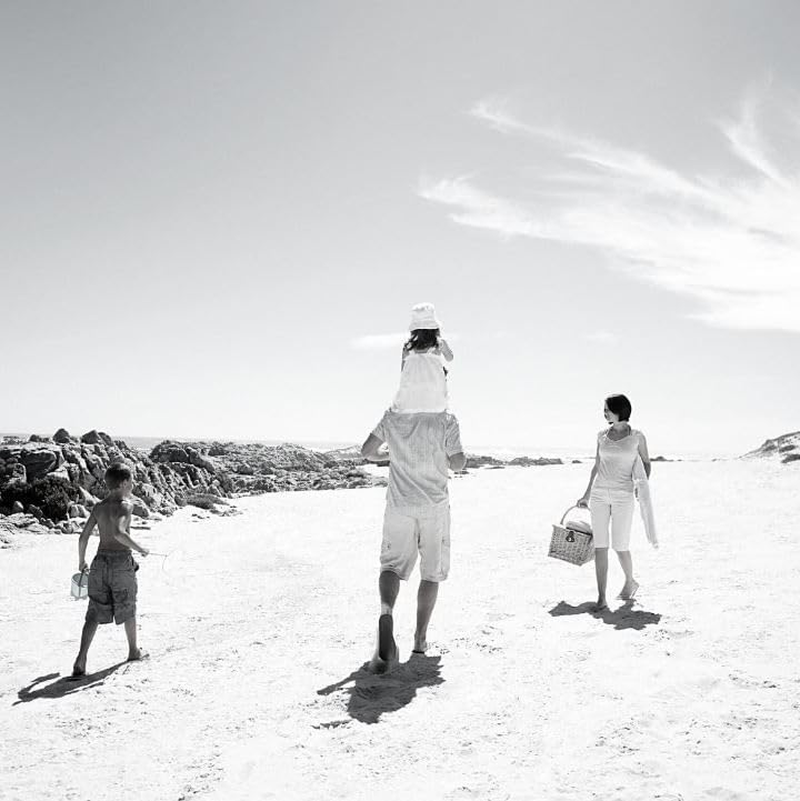 Lautus Merlot De Alcoholised Wine 750Ml image number 2