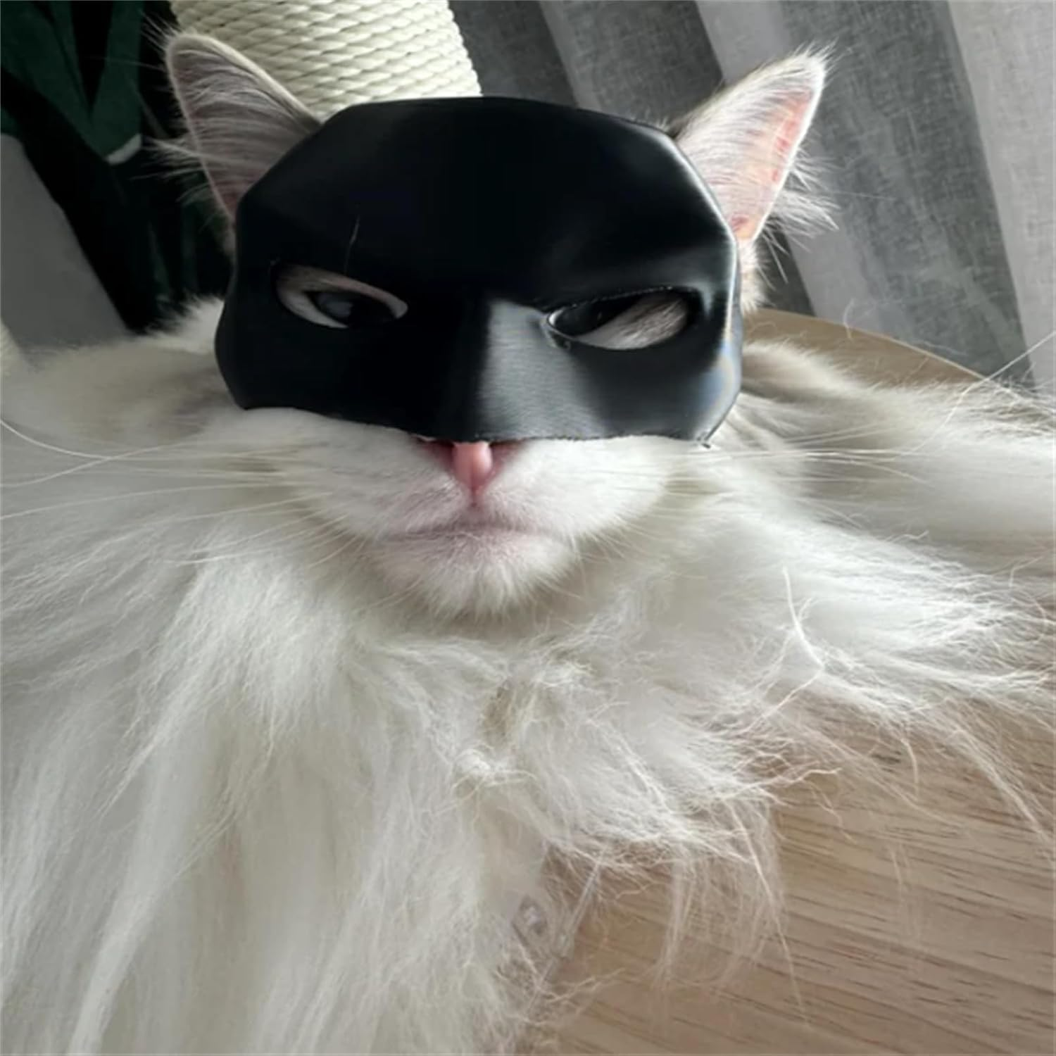 Cat Clothing Accessories, 3D Cat Mask, Costume for Cats, Cat Costume Photo Props, Funny Cat Mask for Halloween, Carnival or Everyday Fun (M) image number 6