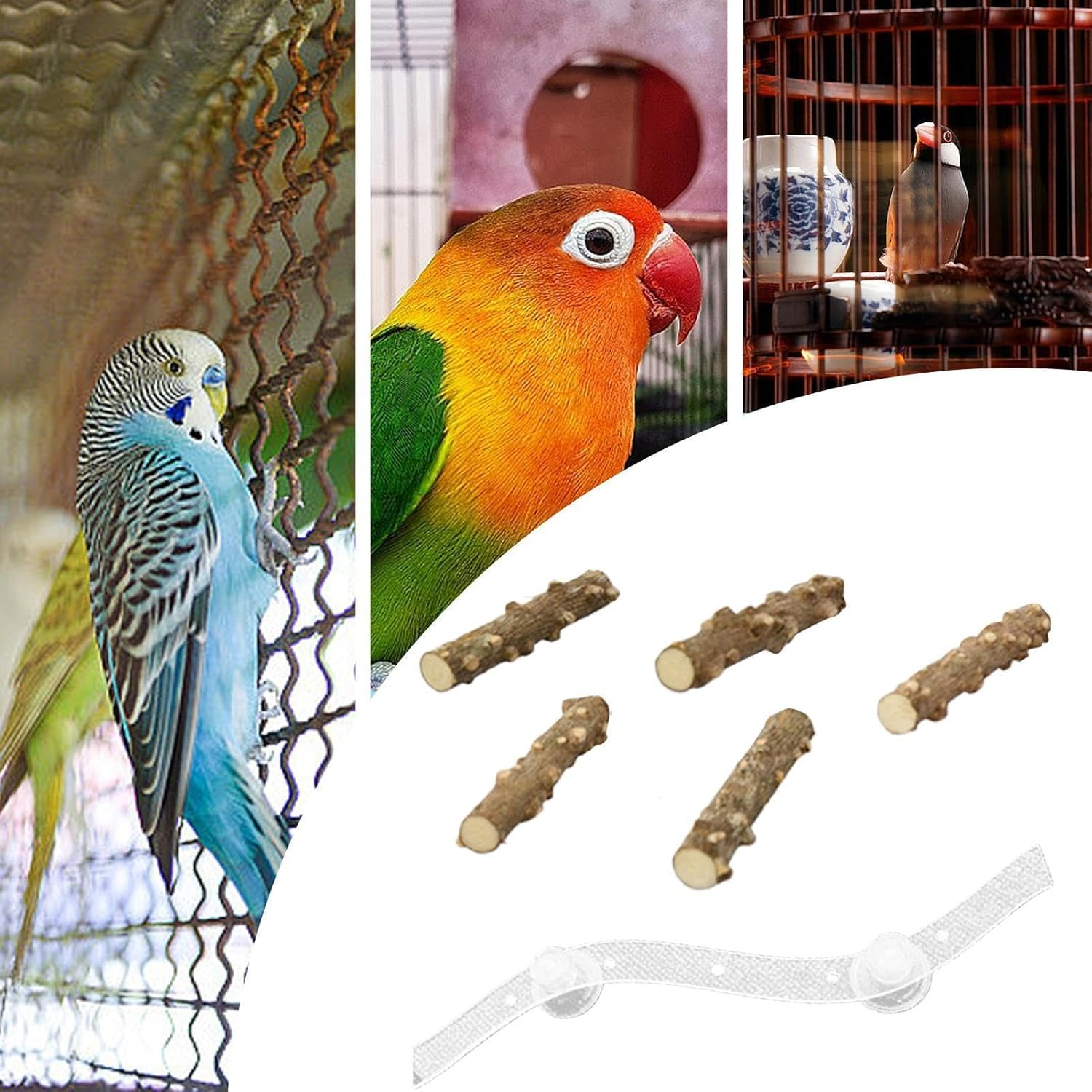 Nybhyjka Perch for Birds,Conure Climbing Ramp - Portable Suction Cup Cage Perch for Parrot, Parakeet, Conure for Home, Wall, Window image number 2
