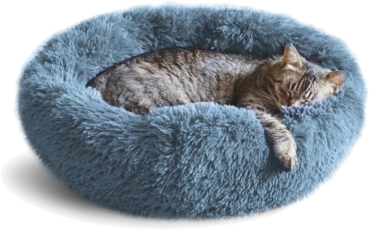 Whiskers & Friends Cat Bed, Cat Beds for Indoor Cats, Washable, for Small Cat Bed, Large Cat Bed, Kitten Bed, Small Dog Bed, Anti-Anxiety Calming Pet Bed, Cat Beds & image number 1