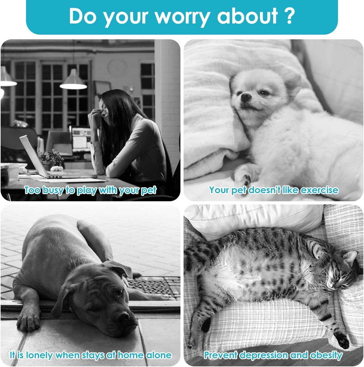 Magic Roller Ball for Dogs - Interactive Pet Toy with Automatic Rolling and 4 Ball Covers | Educational, Fun, and Engaging Toy for Dog Training, Playtime image number 6