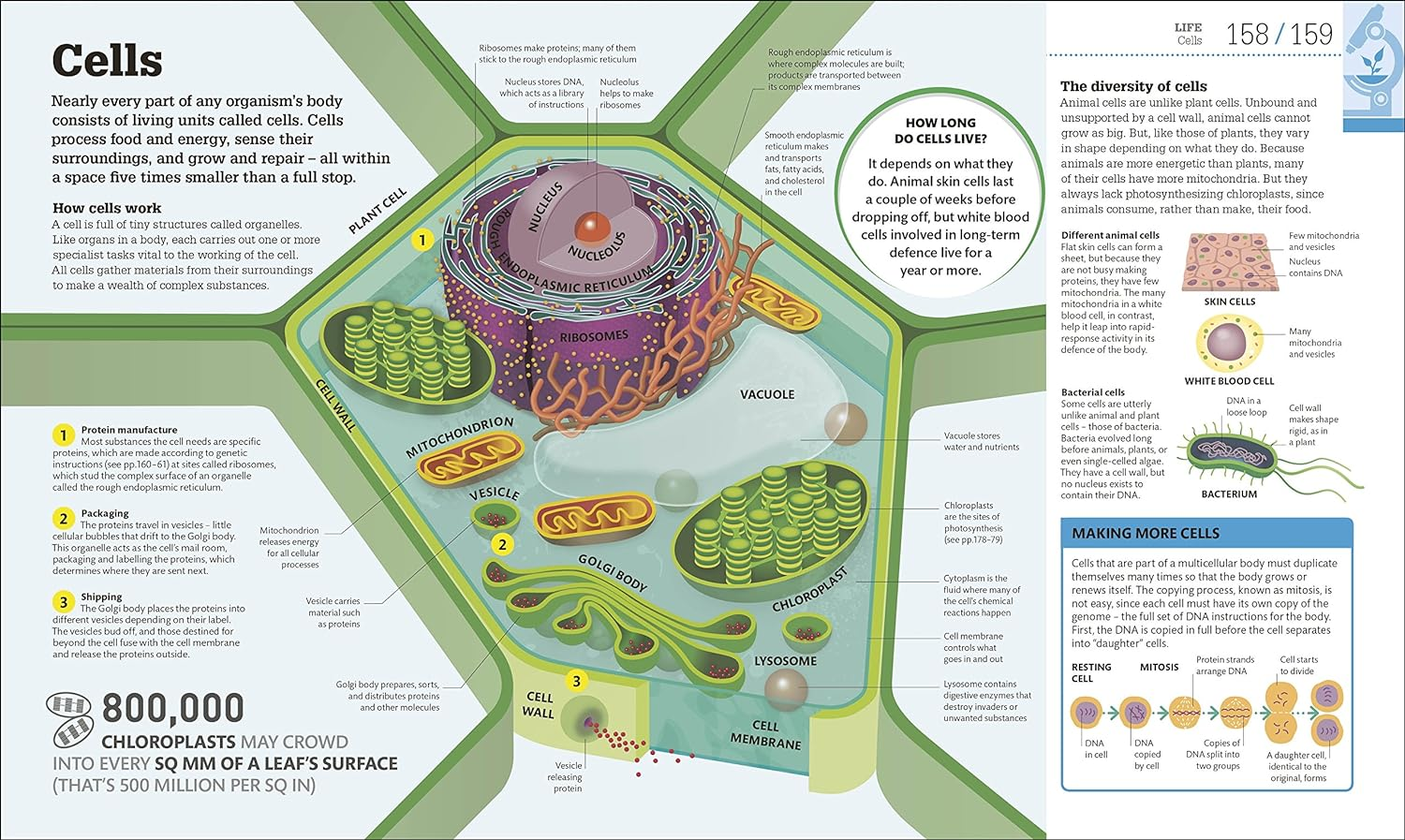 How Science Works: the Facts Visually Explained