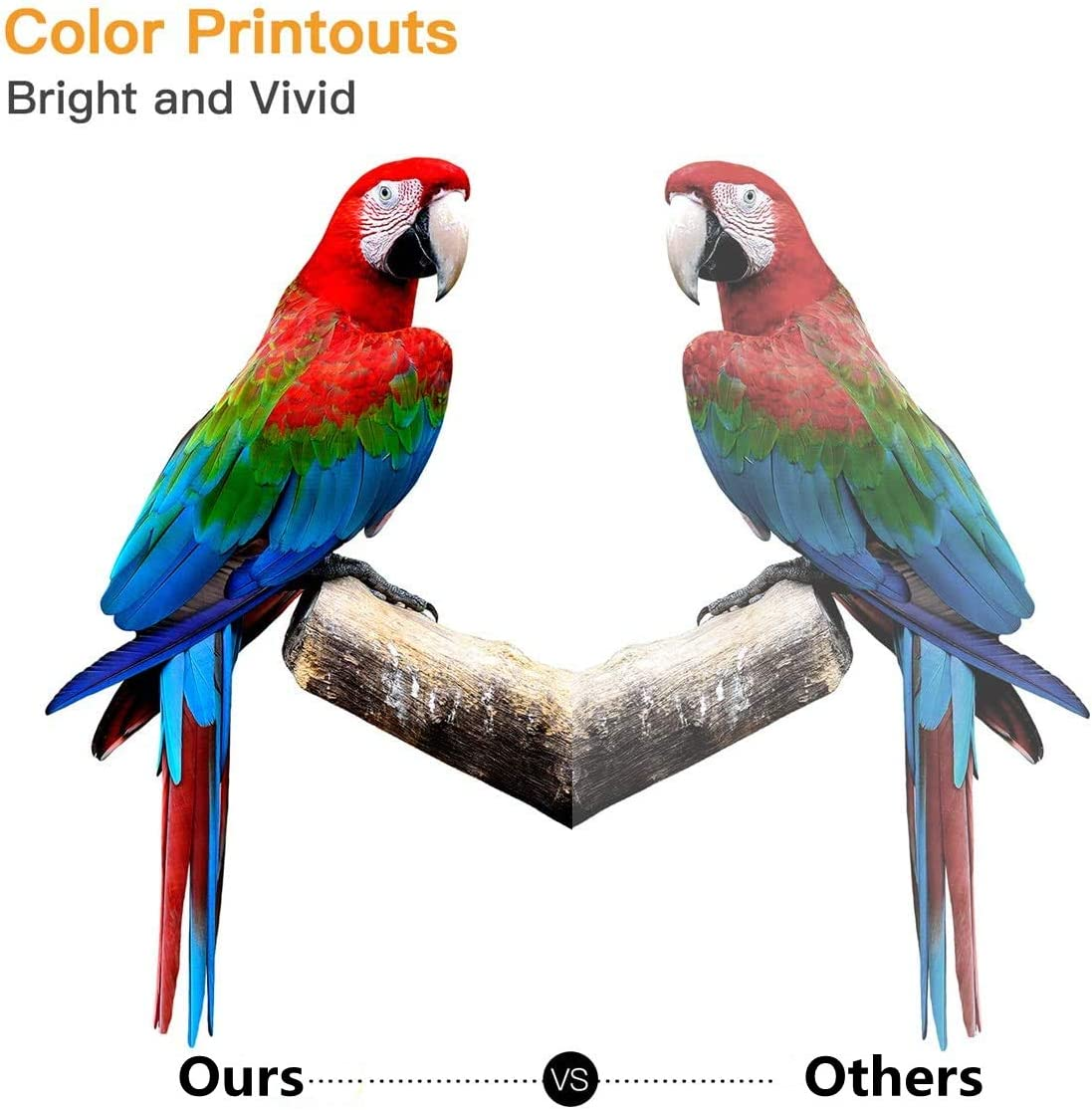 1 Pack Black TN-443 TN443 Toner Compatible with Brother HL-L8260CDW HL-L8360CDW MFC-L8690CDW MFC L8900CDW (1BK) image number 1