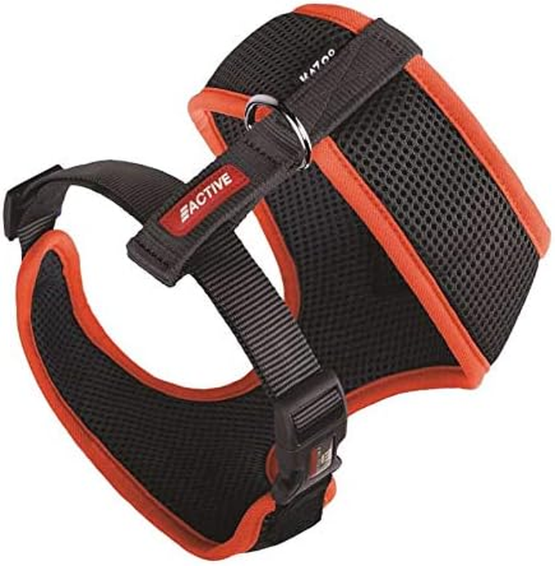 Kazoo Active Soft Walking Harness, Medium