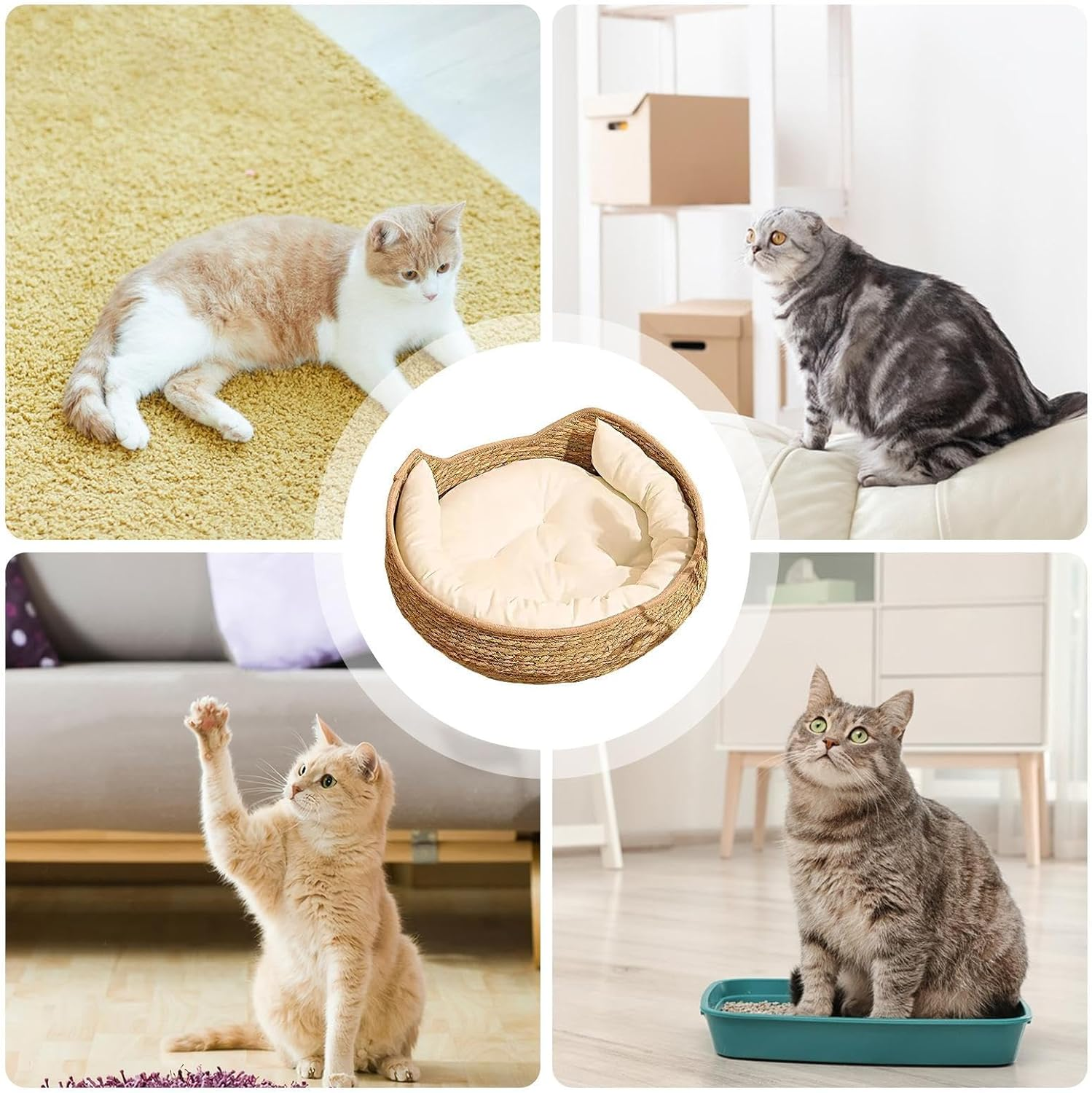 Cat Basket Bed - Woven Cat Bed Basket with Cushion and Pillow - All Season Weaving Pet Sleeping Resting Scratching Furniture for Puppy Dog Kitten image number 5