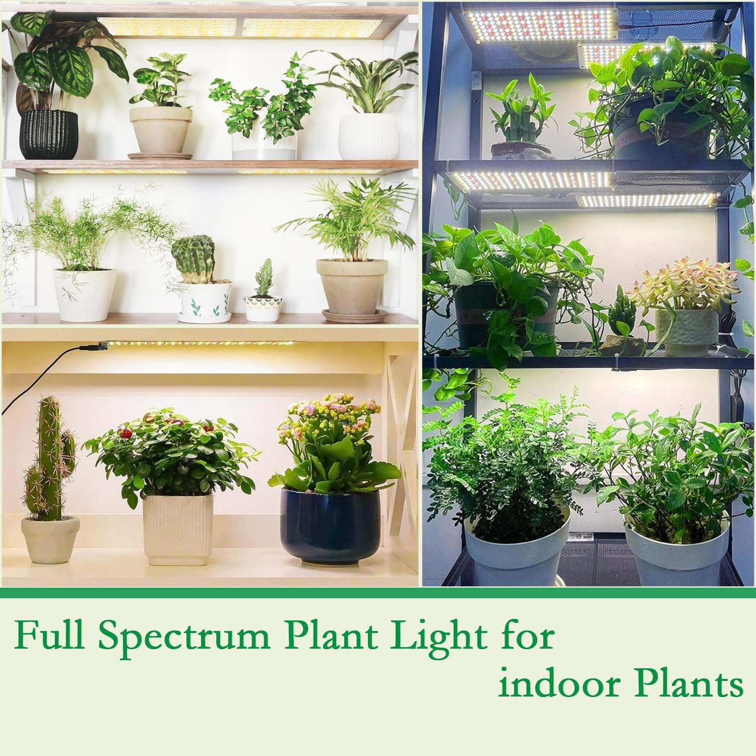 Plant Lamp, 40W Slim Indoor Grow Light with Full Spectrum Leds - Programmable Timer & 10-Level Brightness for Healthy Plants (4-Pack) image number 6