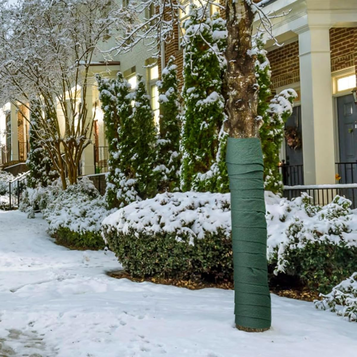 AIMALL 2-Pack Tree Wrap &ndash; 4.7In X 787.4In Non-Woven Tree Bandage for Insulation, Moisture Retention, and Animal Protection