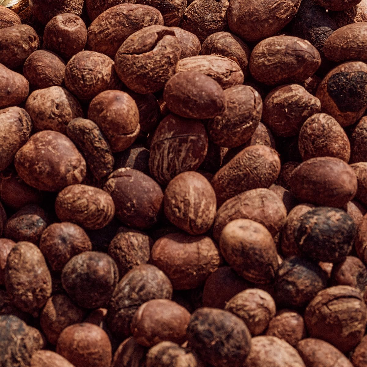 L'Occitane En Provence Shea Butter Discovery Collection Set (Shower Milk 75 Ml + Soap 100 G + Comforting Face Cream 8 Ml + Hand Cream 10 Ml + Body Milk 20 Ml) image number 3