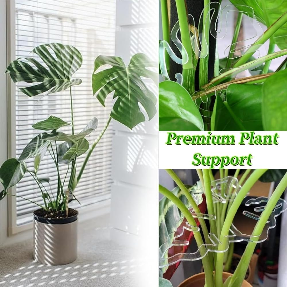 2Pcs Monstera Grapple,Monstera Leaf Plant Support,Turtle Shell Bamboo Clamp Set,Unique and Aesthetic Monstera Plant Support Ring,Plant Stakes, Keeps Plants Tame and Growing Vertical (B) image number 4