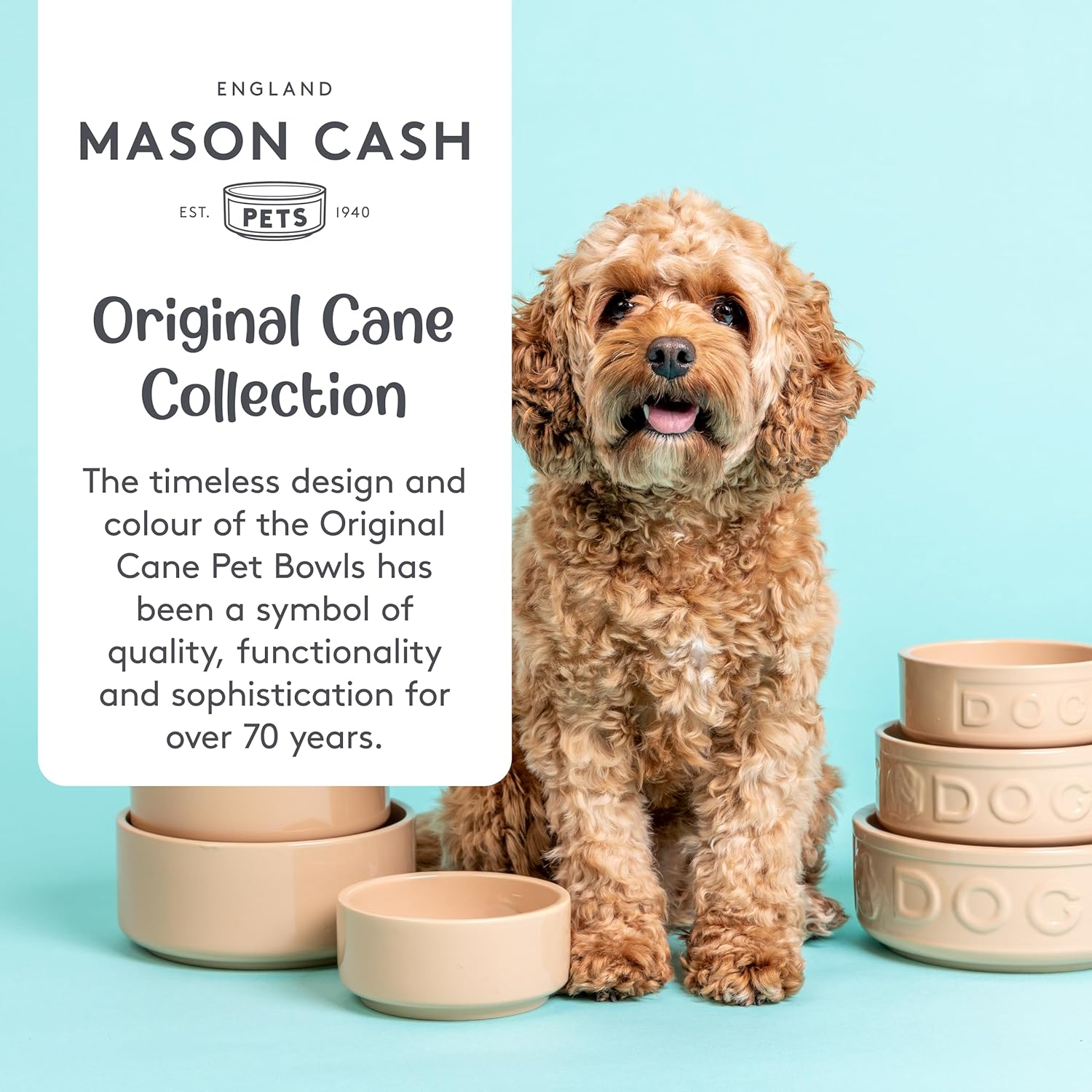 Mason Cash Cane Lettered Stoneware Dog Bowl, 400Ml, Beige 28483, White, One Size image number 6