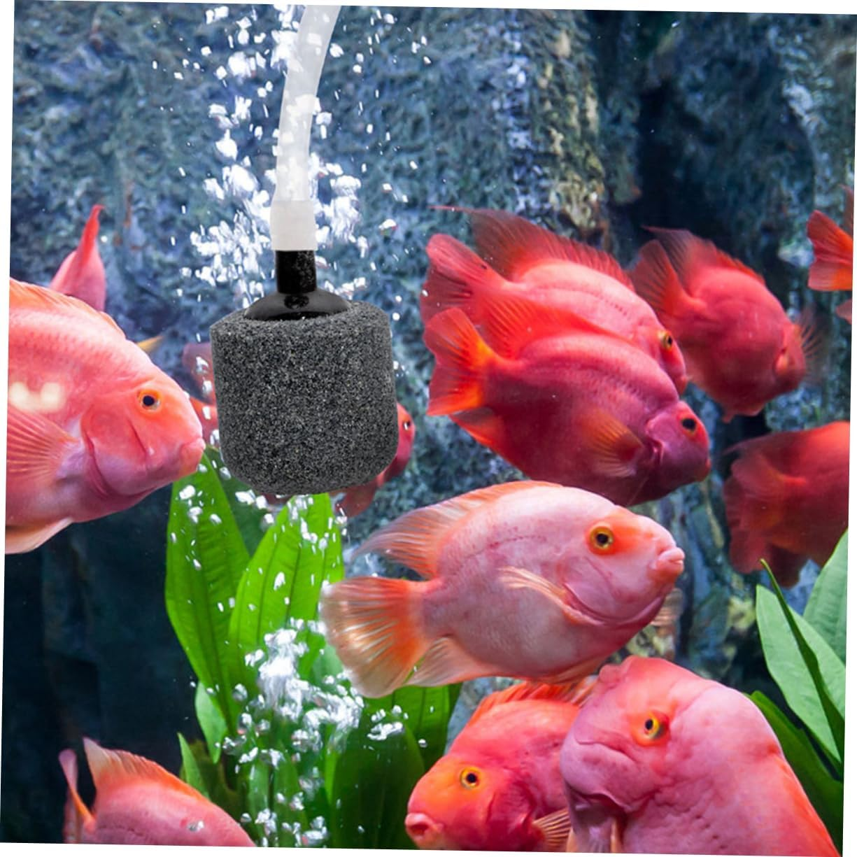 ROMISBABA 10Pcs Aquarium Air Stones for Fish Tank Mute Bubble Diffuser for Freshwater Seawater Oxygen Stones for Hydroponics Aquarium Decoration Pet Health Unique Aquatic Landscape image number 4