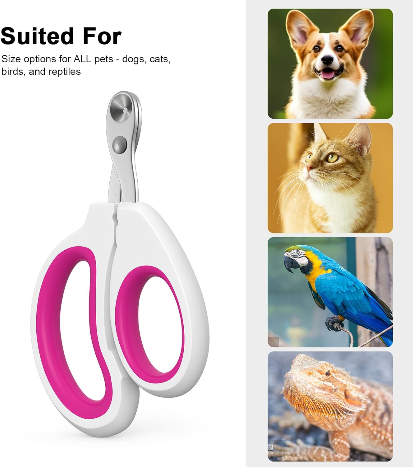 Cat Specific Nail Clipper, Avoiding Excessive Cutting, Suitable for Beginners. It Can Also Be Used for Small Animals Such as Birds, Hamsters, Rabbits, Hedgehogs, Ferrets, Guinea Pigs, Etc. image number 4