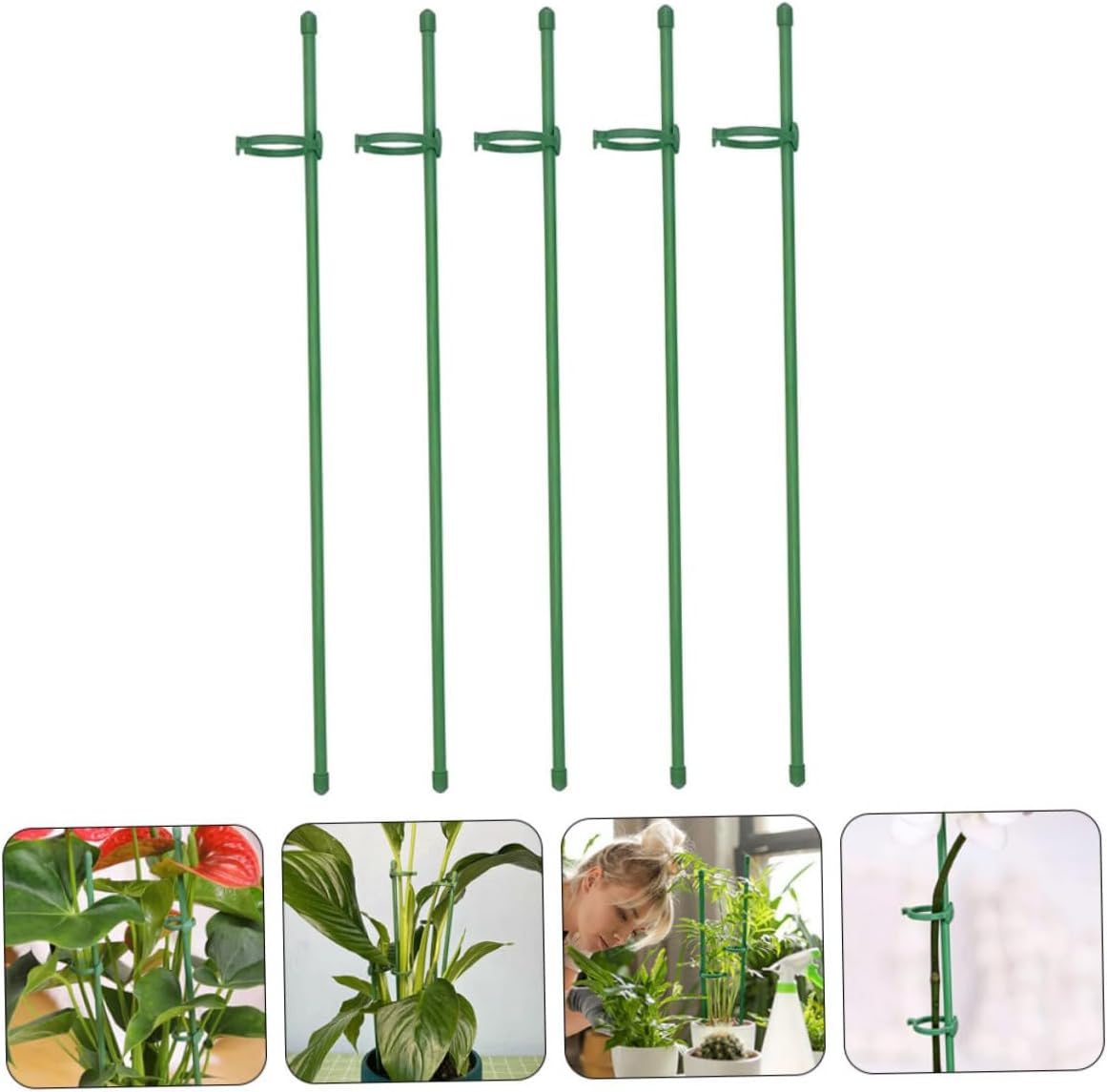 12Sets Garden Single Stem Support Stake Plant Cage Support Stakes for Vegetable Plant Support Stakes Flowers for Hanging and Peony in Your Gardening Supplies image number 3
