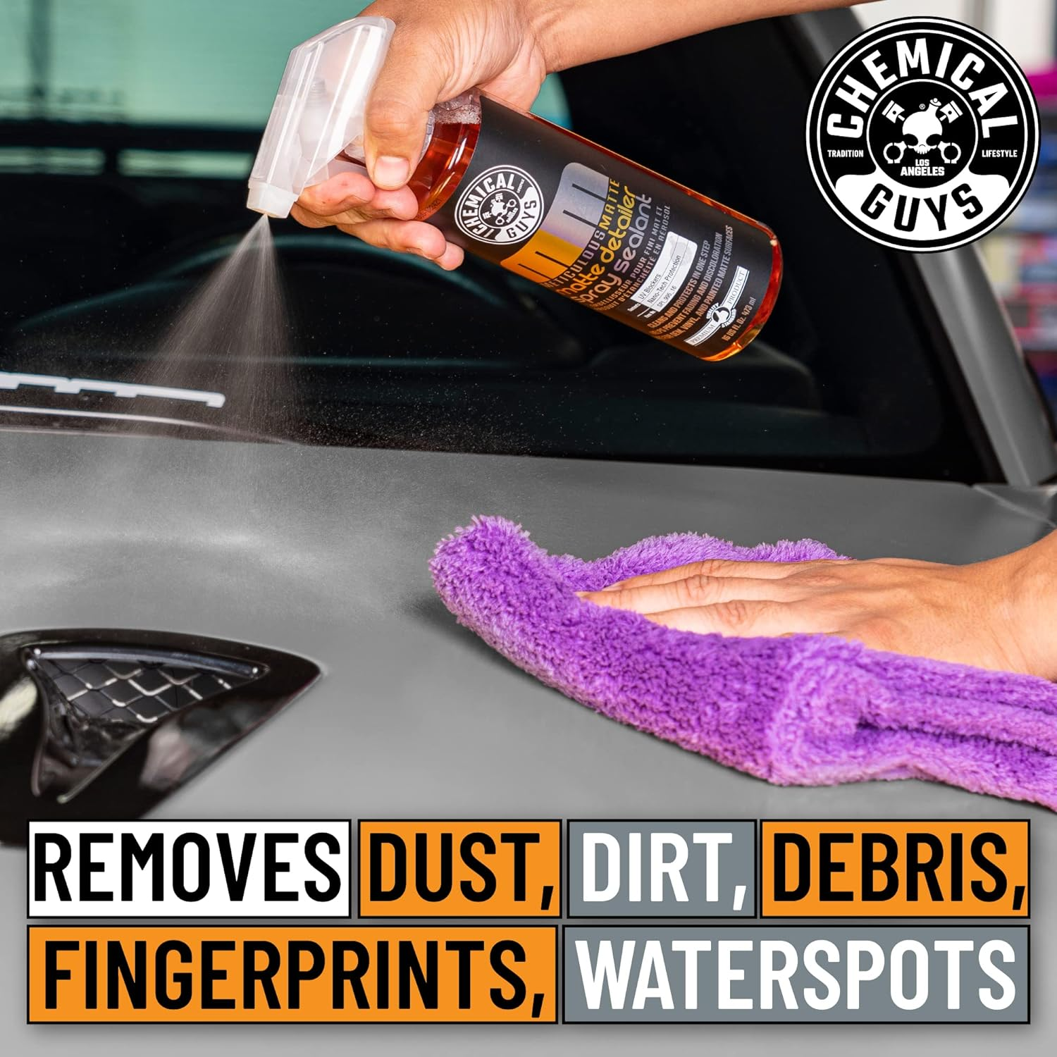 Chemical Guys SPI_995_16 Meticulous Matte Detailer and Spray Sealant (16 Oz)