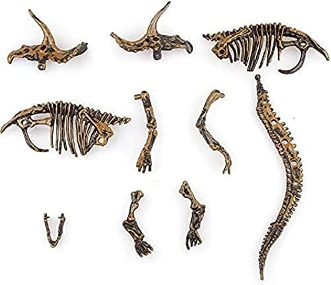 Dinosaur Fossil Digging Kit for Kids and Adult, STEM Science Dinosaur Fossil Dig Kit for Paleontology and Archeology Enthusiasts, Realistic Dig up Dinosaurs Skeleton Set Educational Toys image number 6