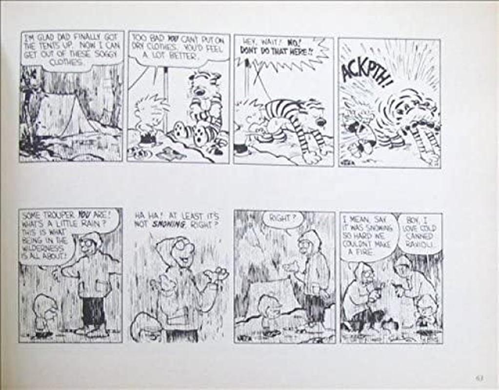 Calvin & Hobbes:Tenth Anniversary Book: Calvin & Hobbes Series: Book Fourteen