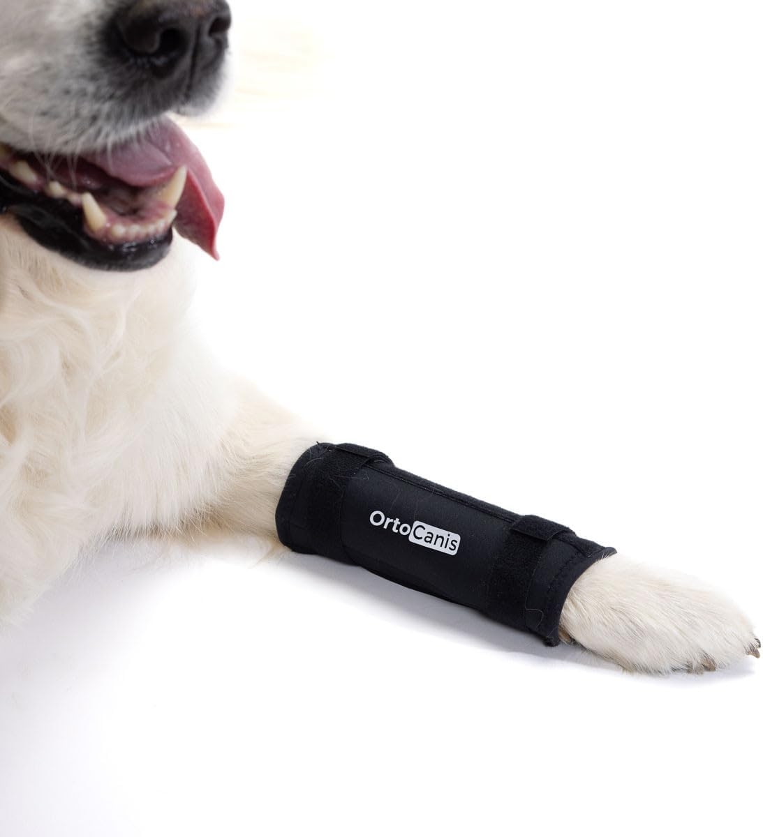 Ortocanis - Carpal Support for Dogs - Carpal Support with Immobilisation Splints for Instability, Osteoarthritis or Hyperextension - Stabilises and Relieves Pain - Size XXXL 19-23 Cm image number 3