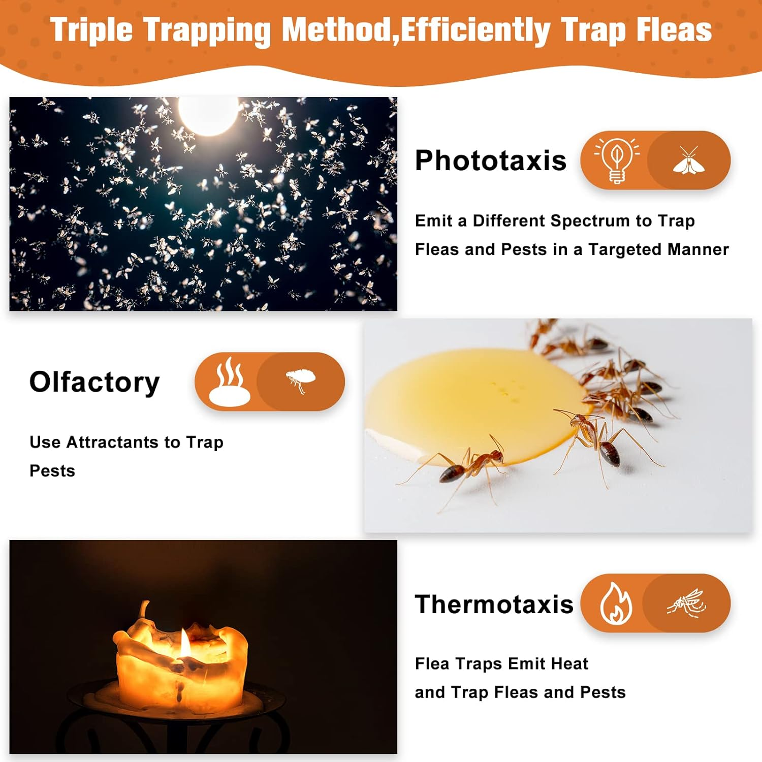 UPYEAL Flea Trap 2 Packs &ndash; Premium Traps for inside Your Home Natural and Child-Friendly Light Indoor with Glue Discs Refills LED Lightbulb