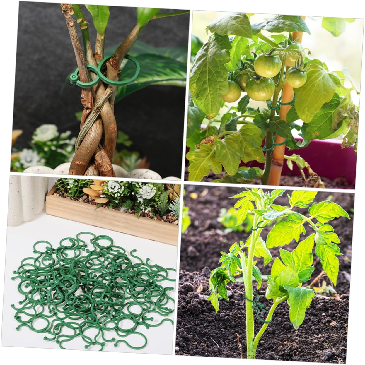 IWOWHERO 100Pcs Tomato Trellis Clips Lightweight Plant Support Clips Secured for Gardening Plant Climbing Wall Fixtures Green image number 3