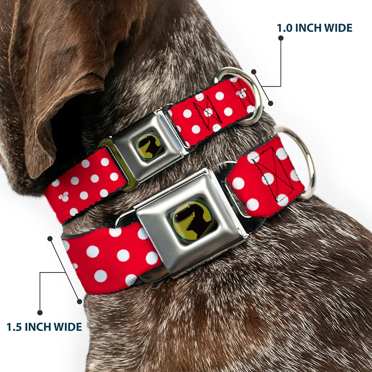 Buckle-Down Seatbelt Buckle Dog Collar - Minnie Mouse Polka Dot/Mini Silhouette Red/White - 1.5" Wide - Fits 13-18" Neck - Small
