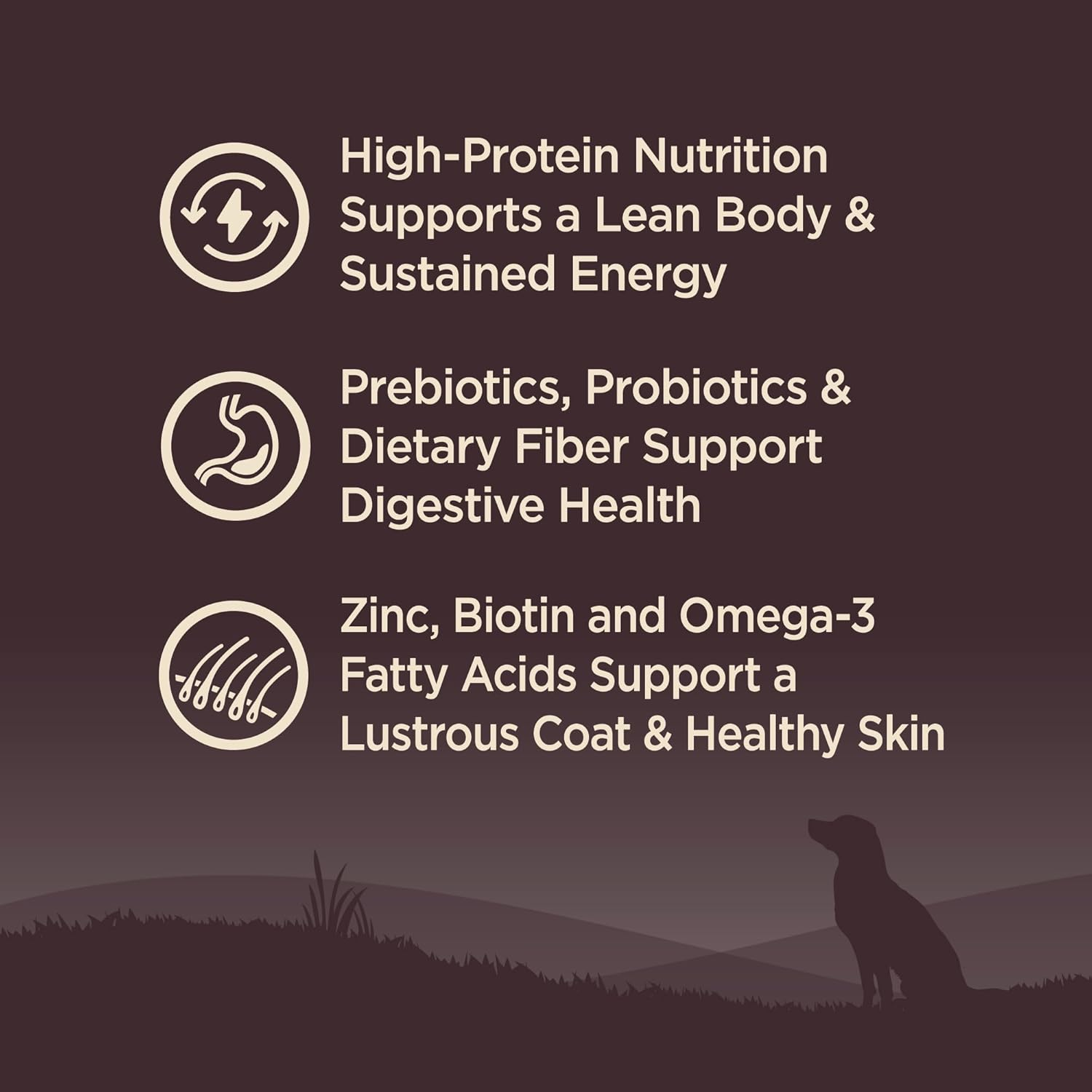 Wellness CORE Dry Dog Food, Grain-Free, High Protein, Natural, Original Turkey & Chicken Recipe, (1.8Kg Bag) image number 5